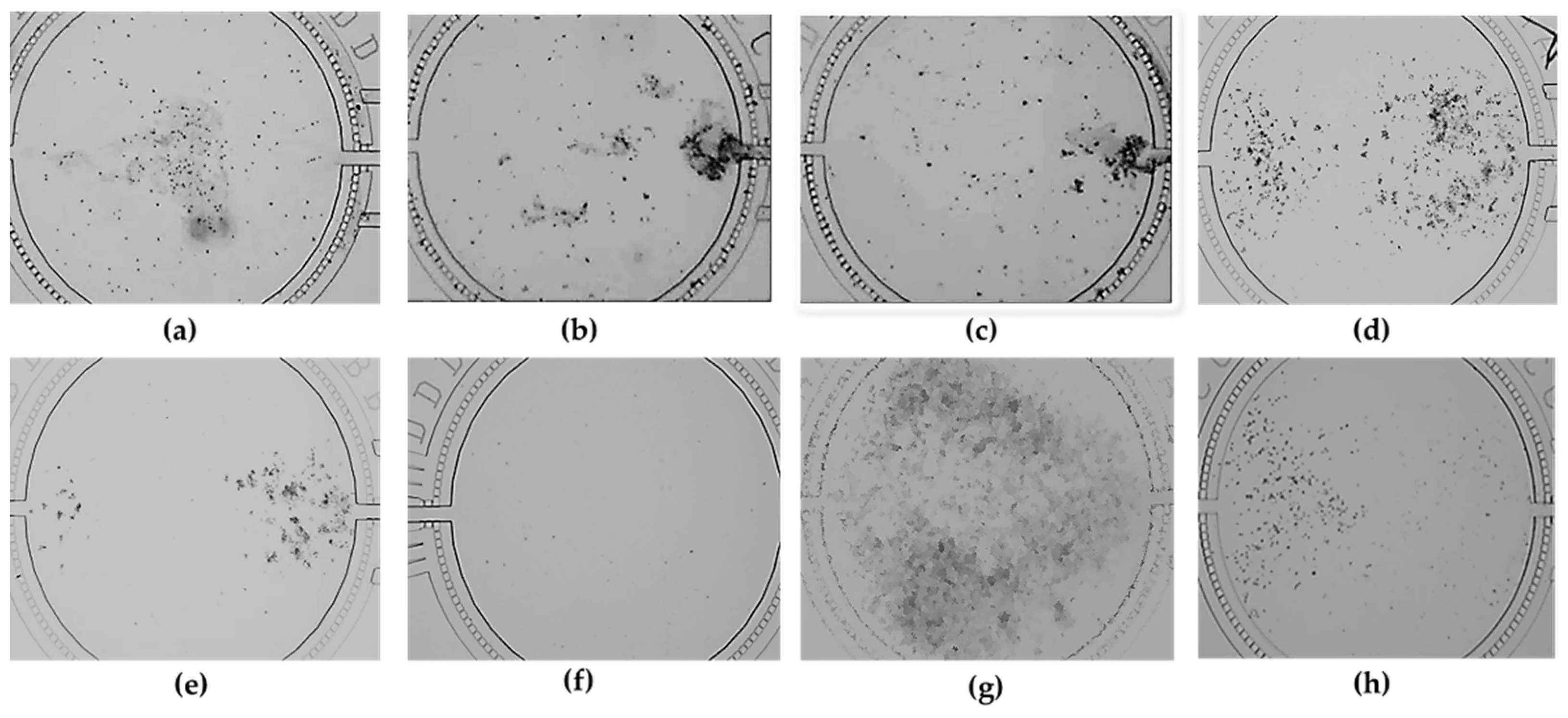 Nutrients 14 04728 g002