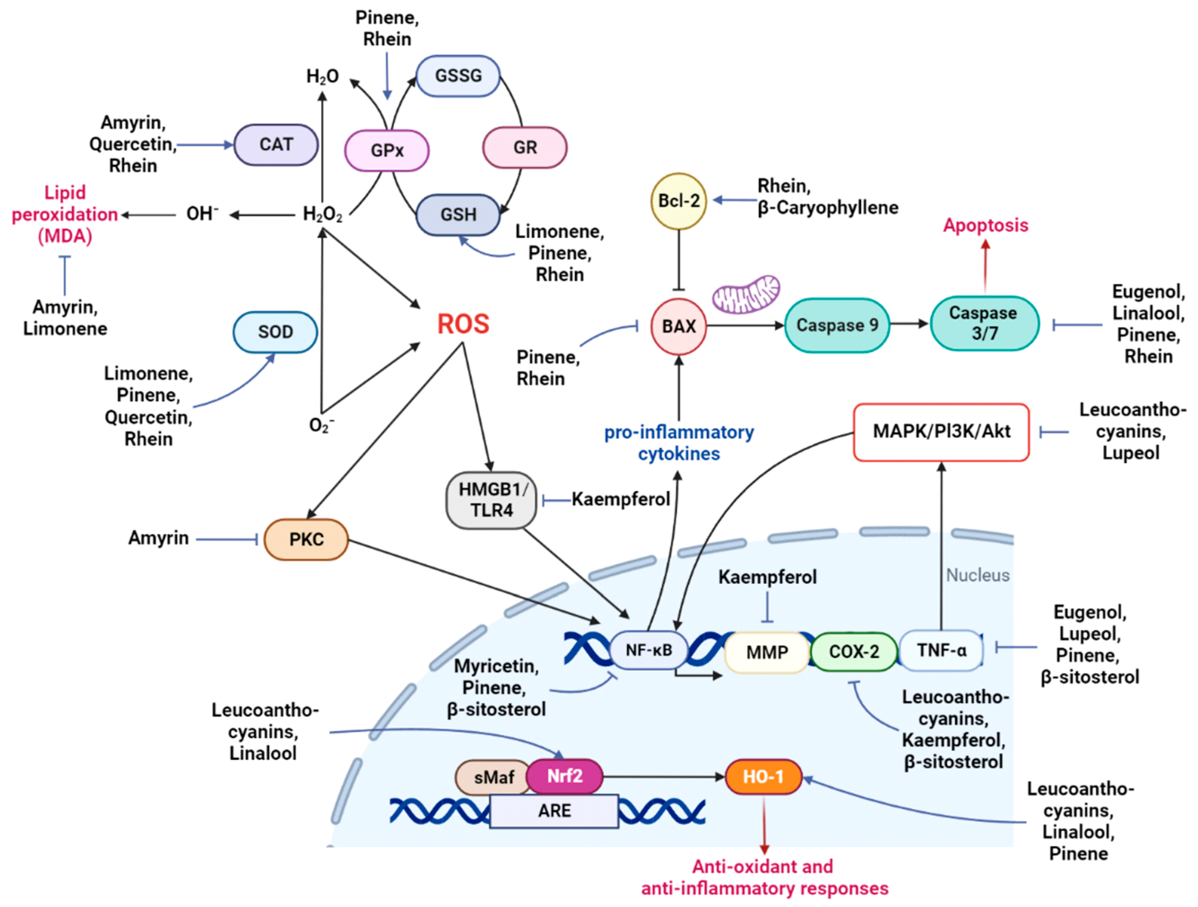 Nutrients 14 04731 g002