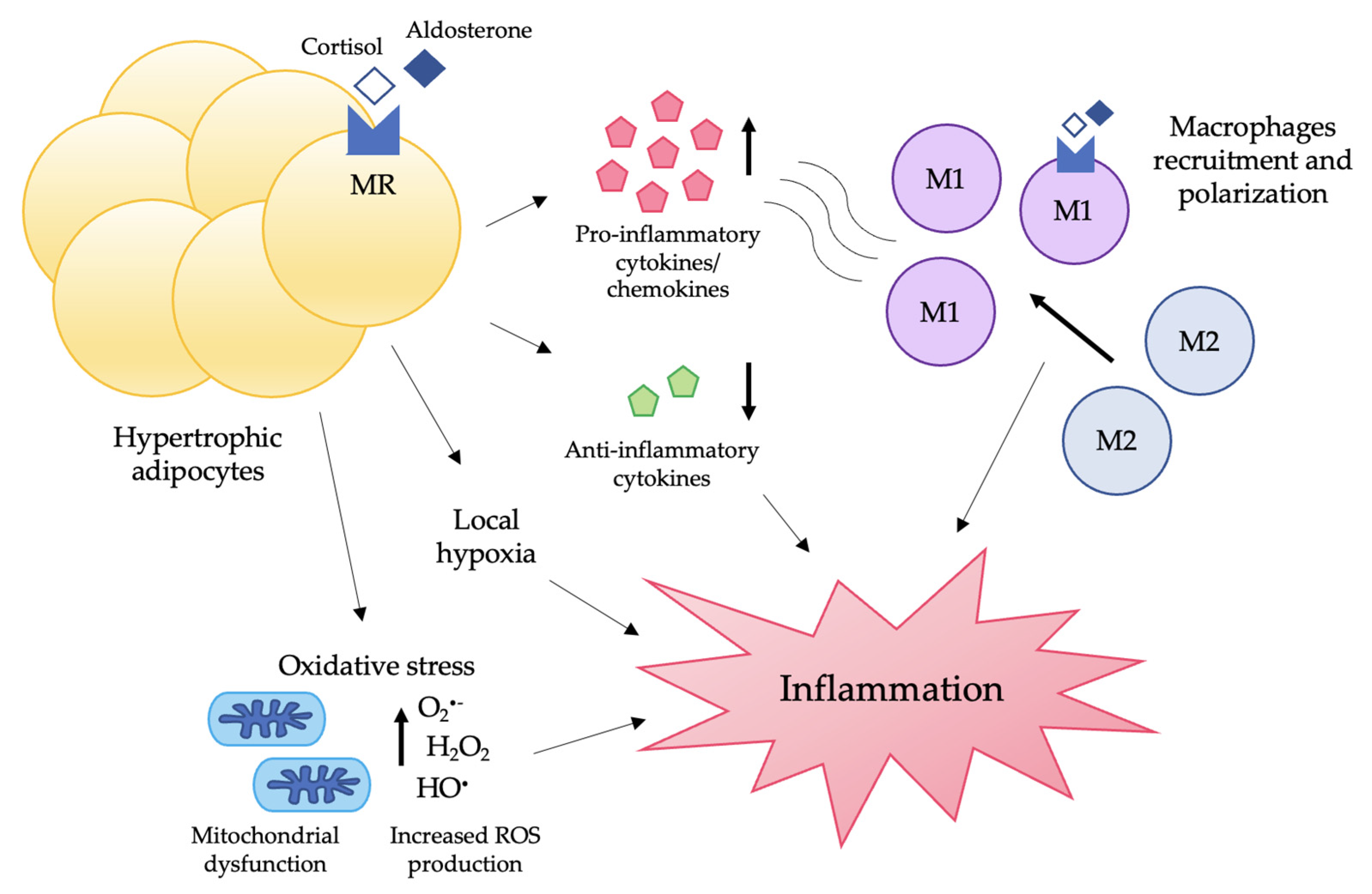 Nutrients 14 04735 g002