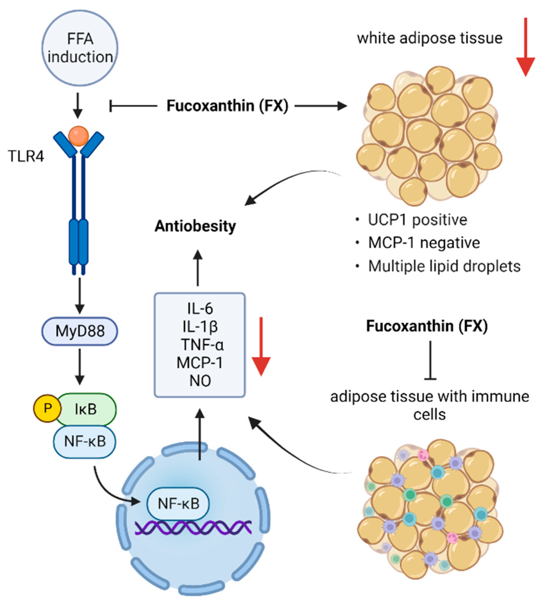 Nutrients 14 04768 g005