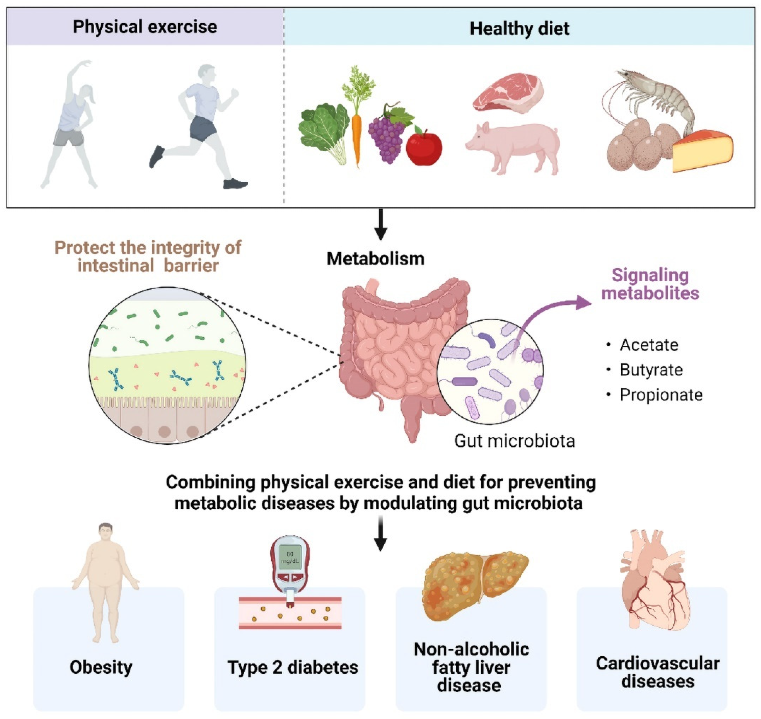 Nutrients 14 04774 g002 Nutrients 14 04774 g002