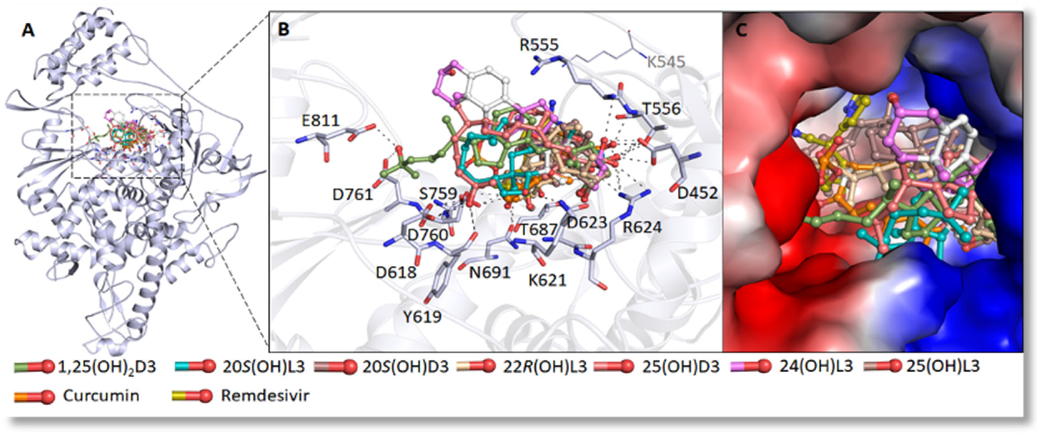 Nutrients 14 04779 g004