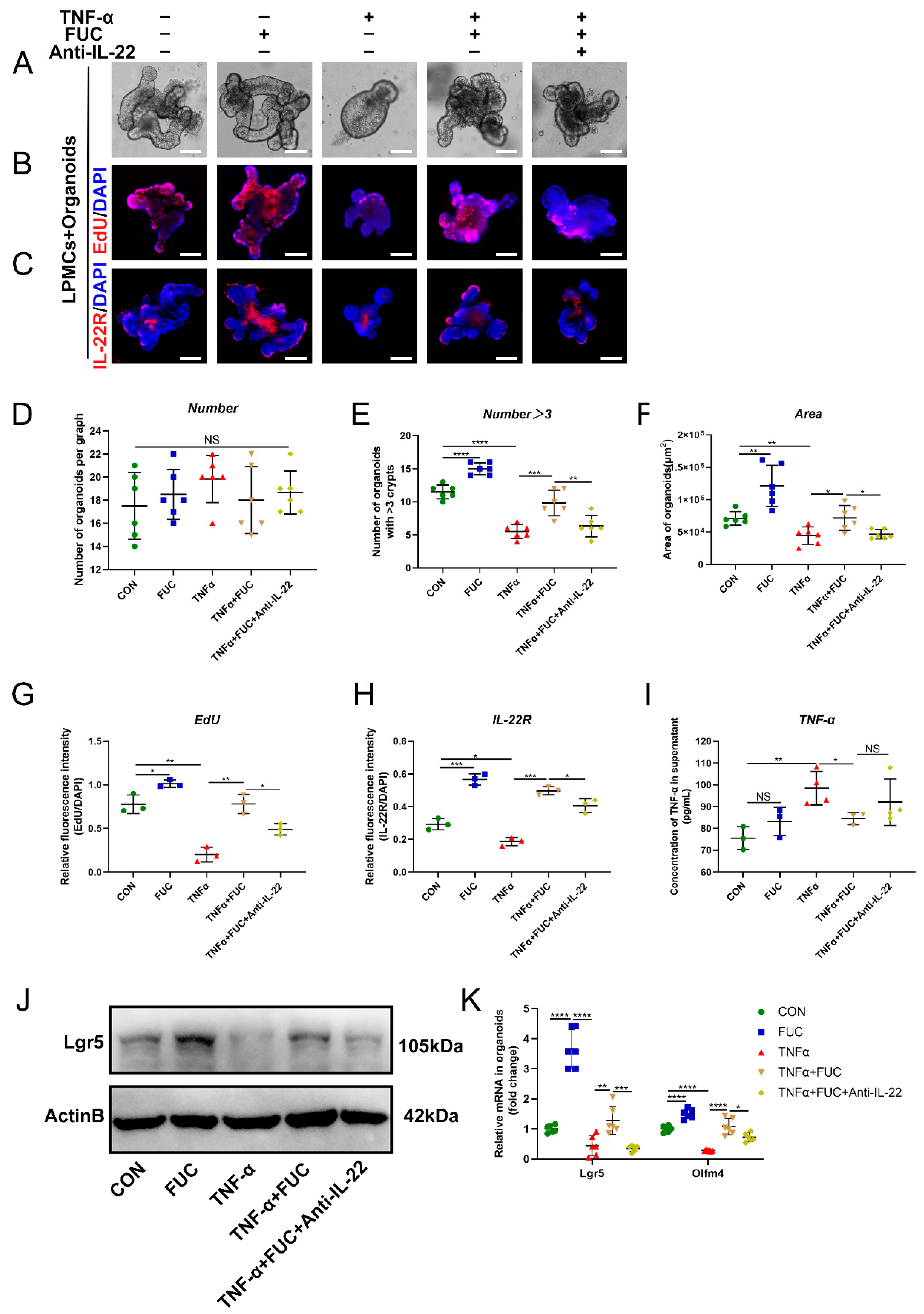 Nutrients 14 04789 g008 Nutrients 14 04789 g008