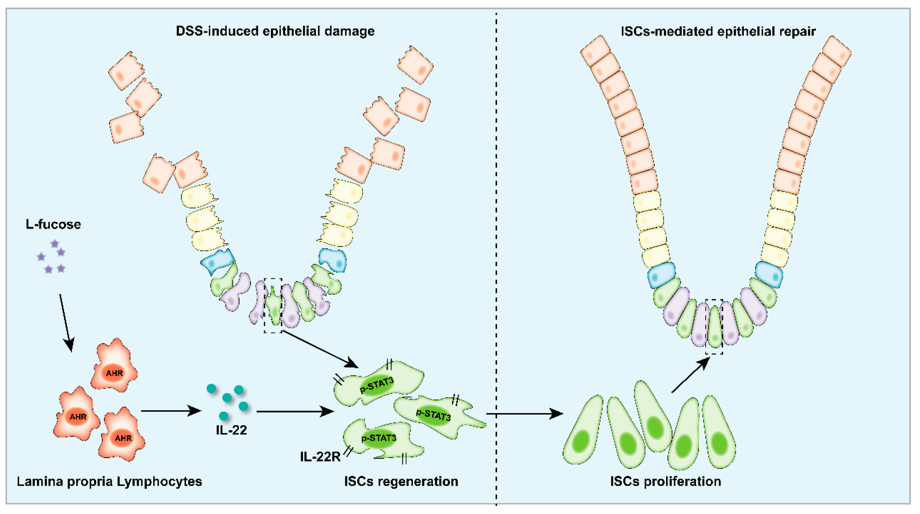 Nutrients 14 04789 g009 Nutrients 14 04789 g009