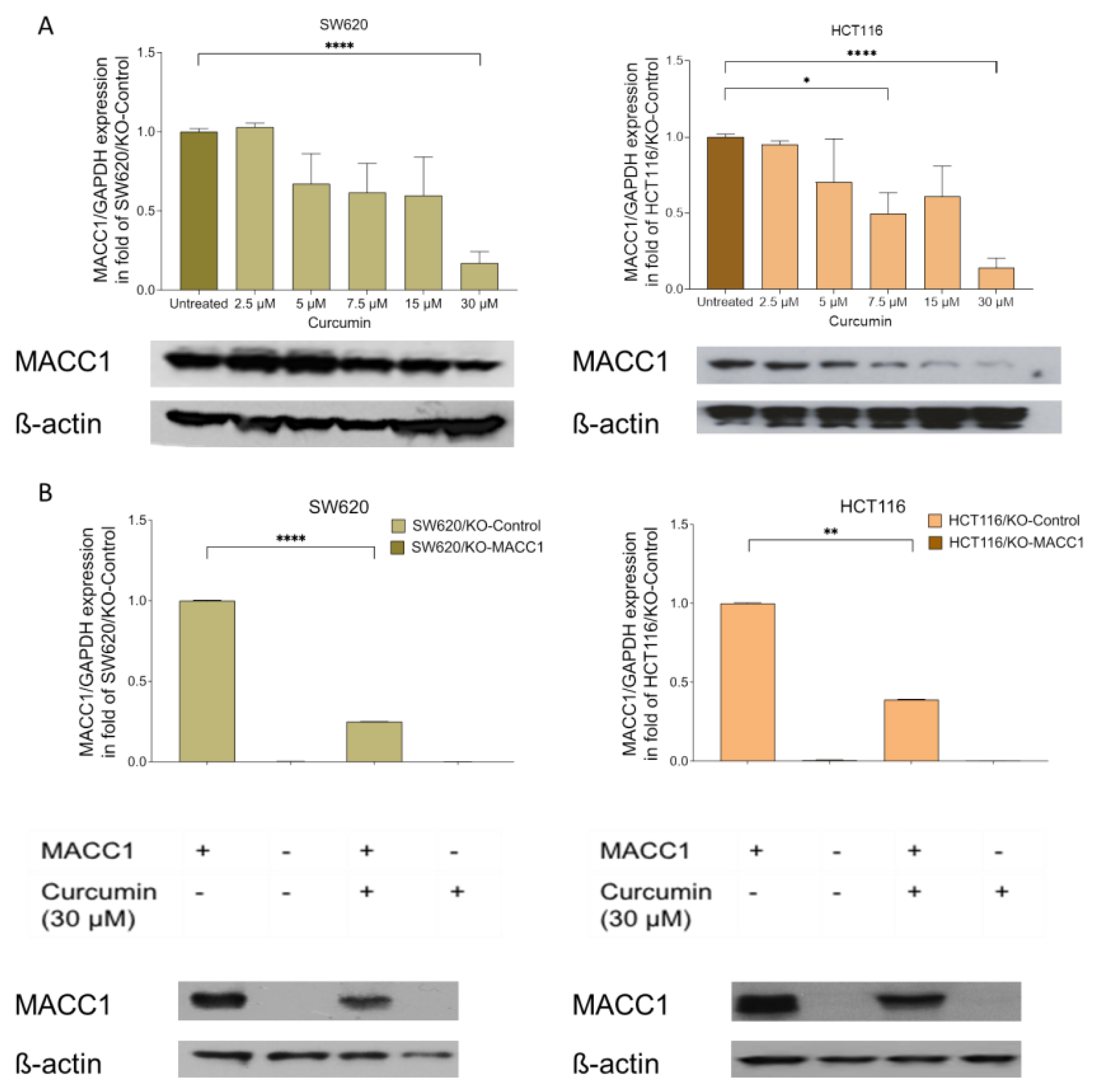 Nutrients 14 04792 g001 Nutrients 14 04792 g001