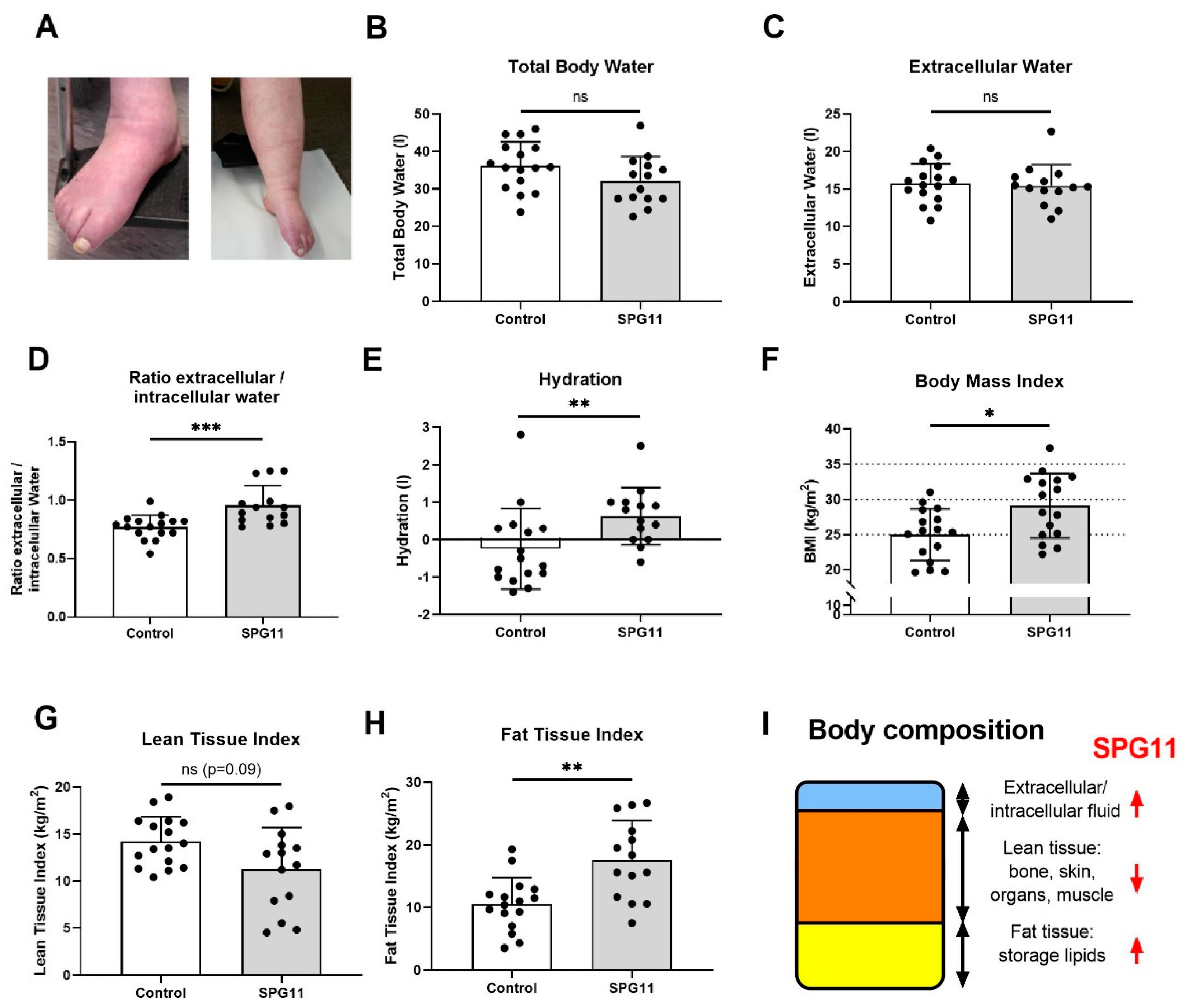 Nutrients 14 04803 g001