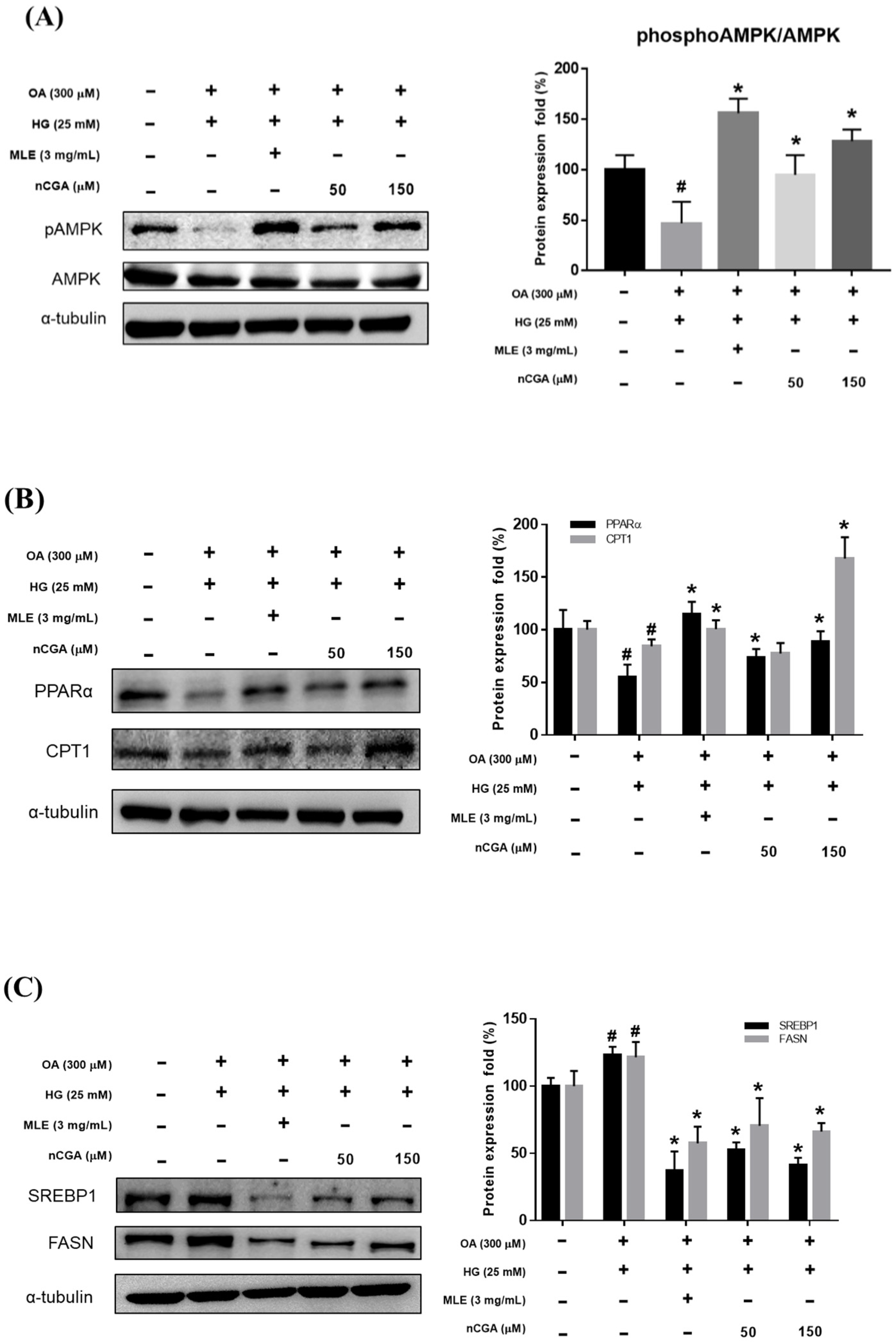 Nutrients 14 04808 g004a