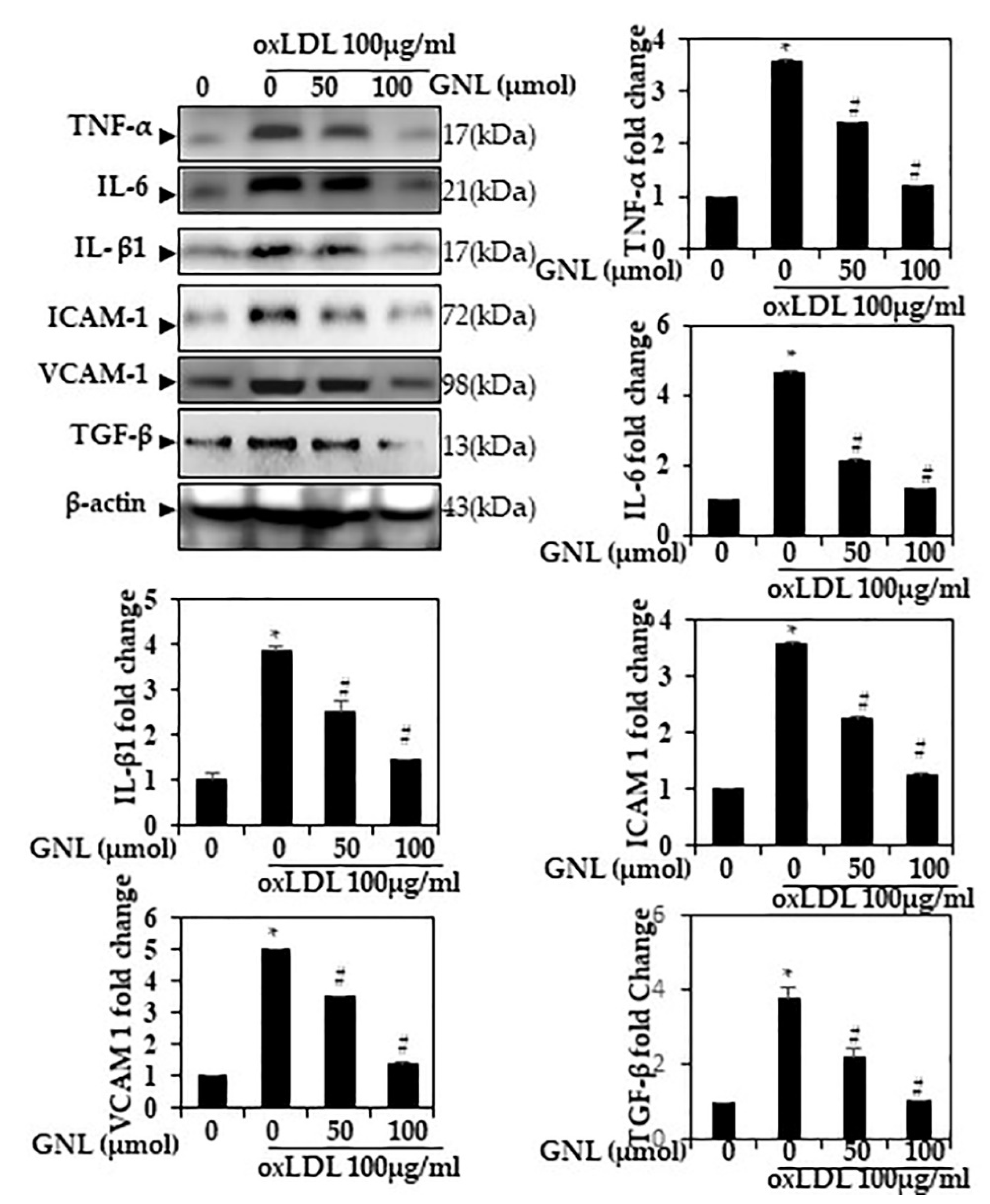 Nutrients 14 04817 g003