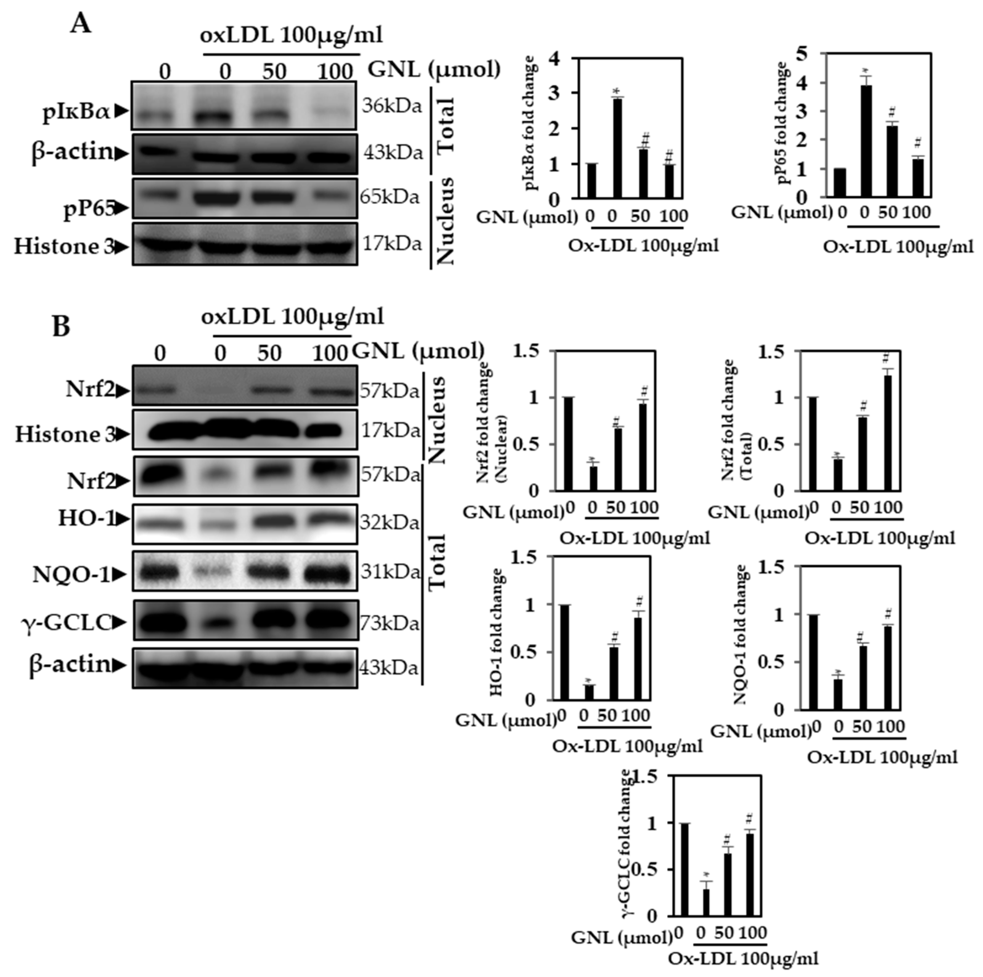 Nutrients 14 04817 g006