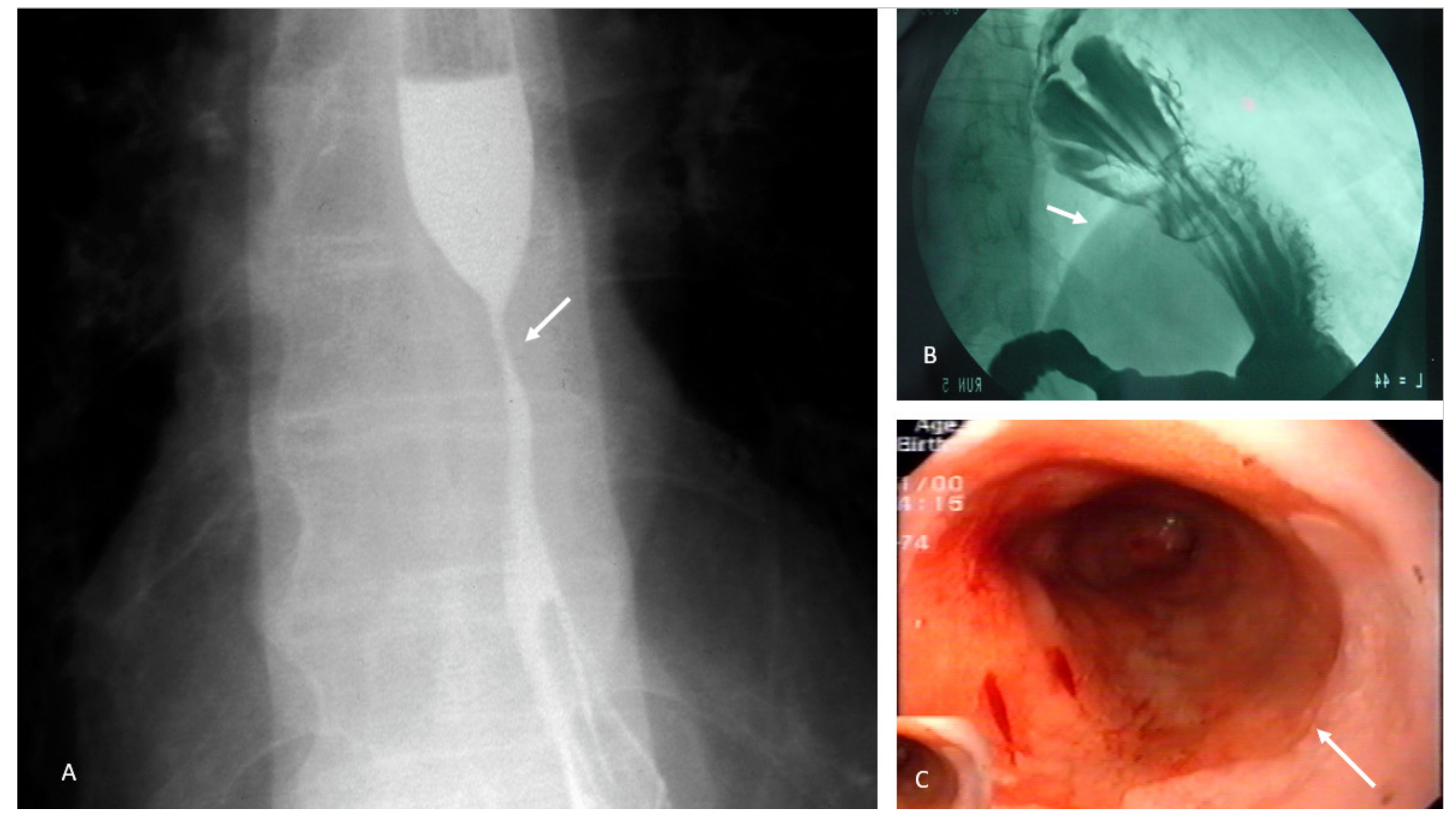 Nutrients 14 04819 g006