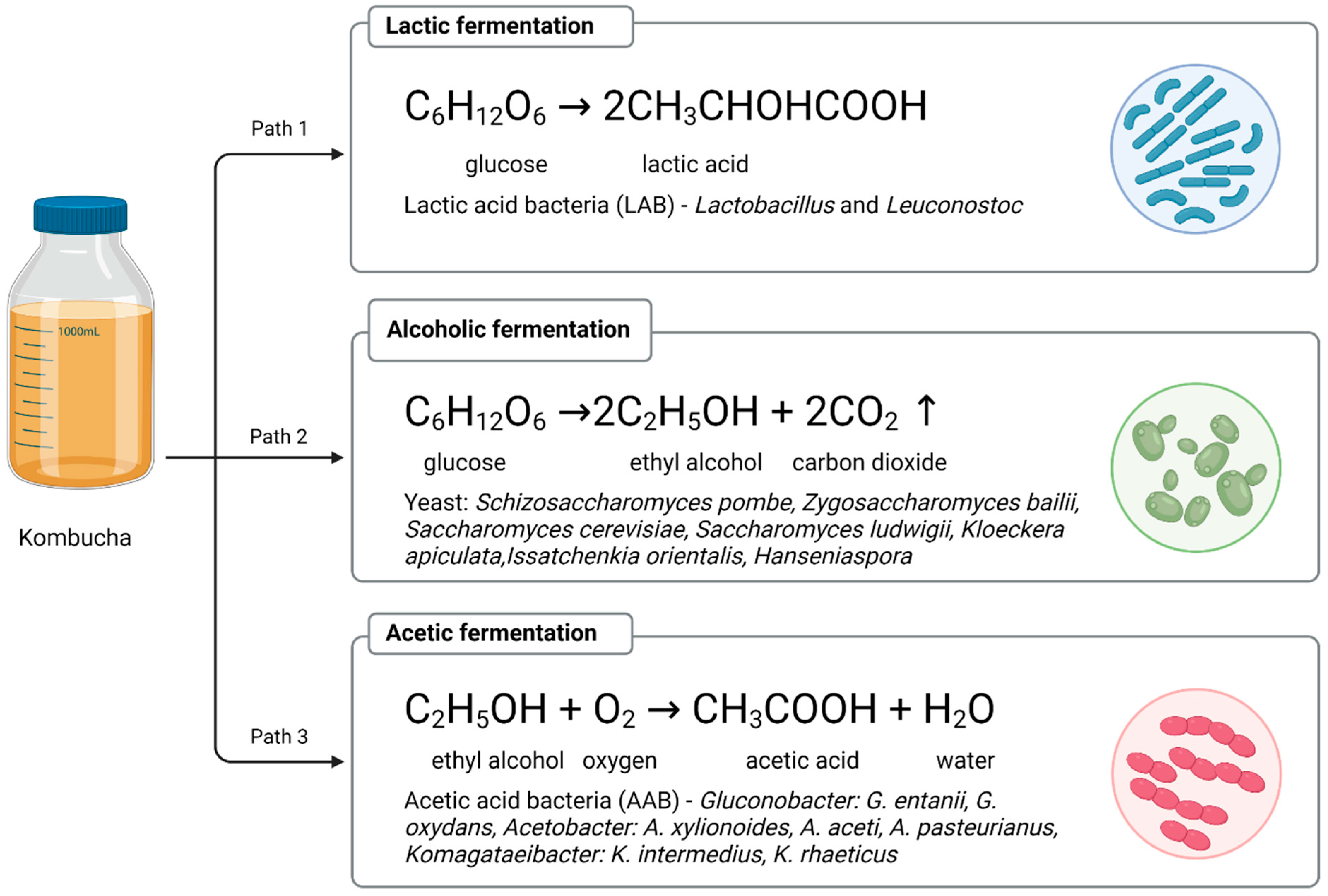 Nutrients 14 04828 g001 Nutrients 14 04828 g001