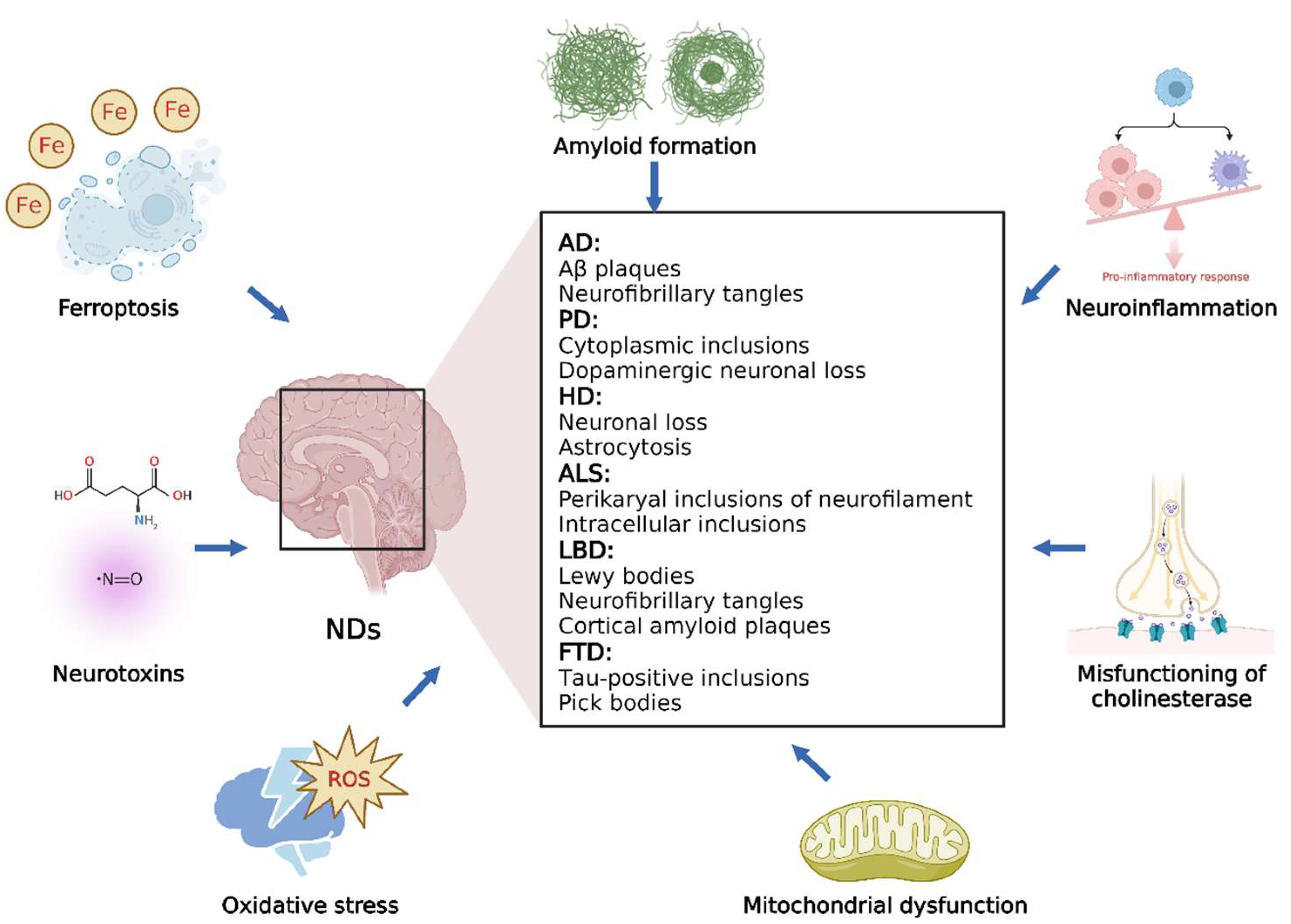 Nutrients 14 04833 g001 Nutrients 14 04833 g001