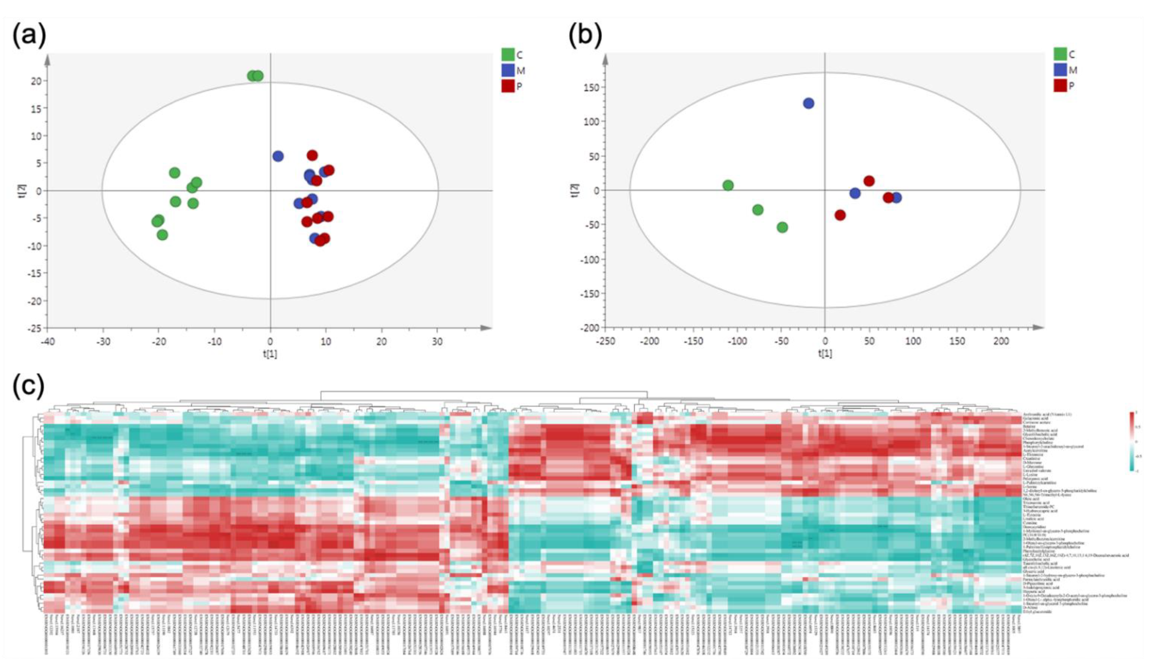 Nutrients 14 04850 g004 Nutrients 14 04850 g004