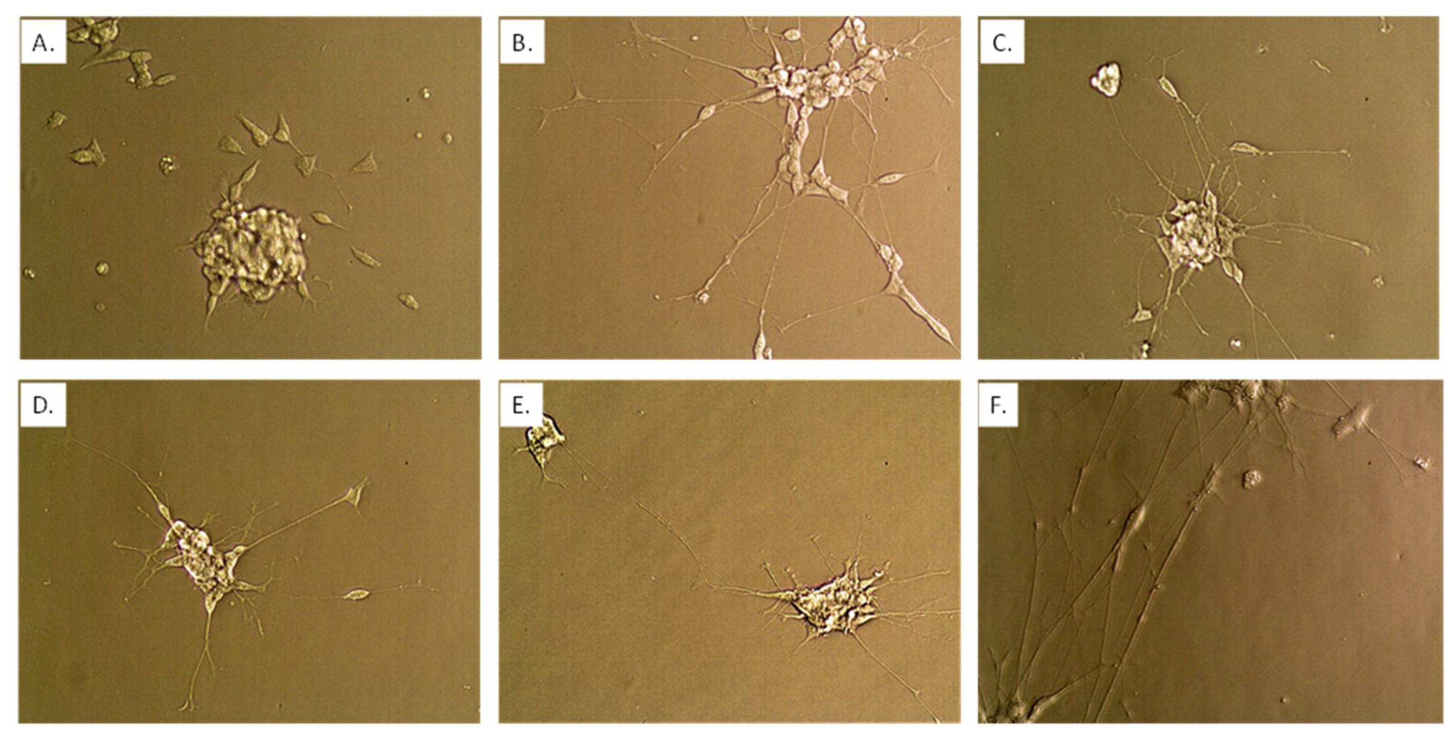 Nutrients 14 04856 g008