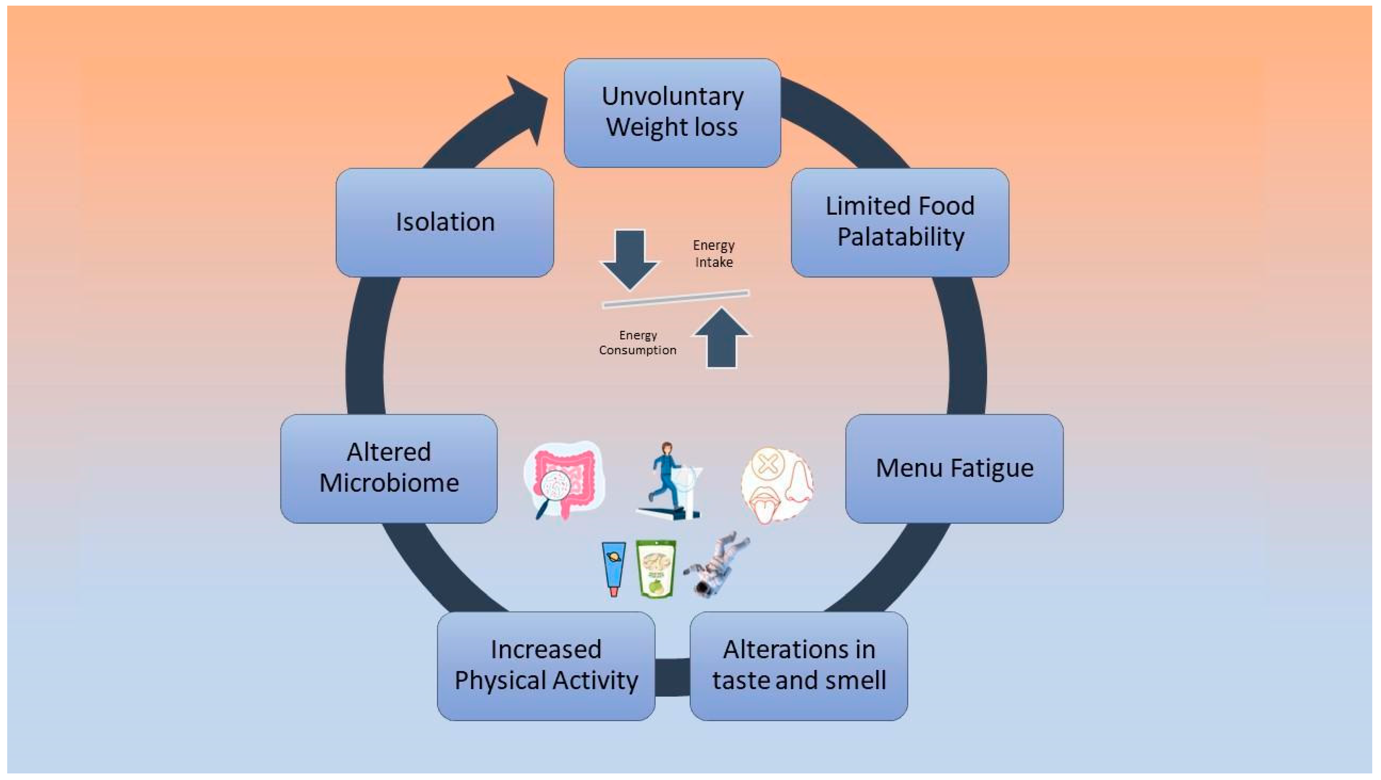 Nutrients 14 04896 g001