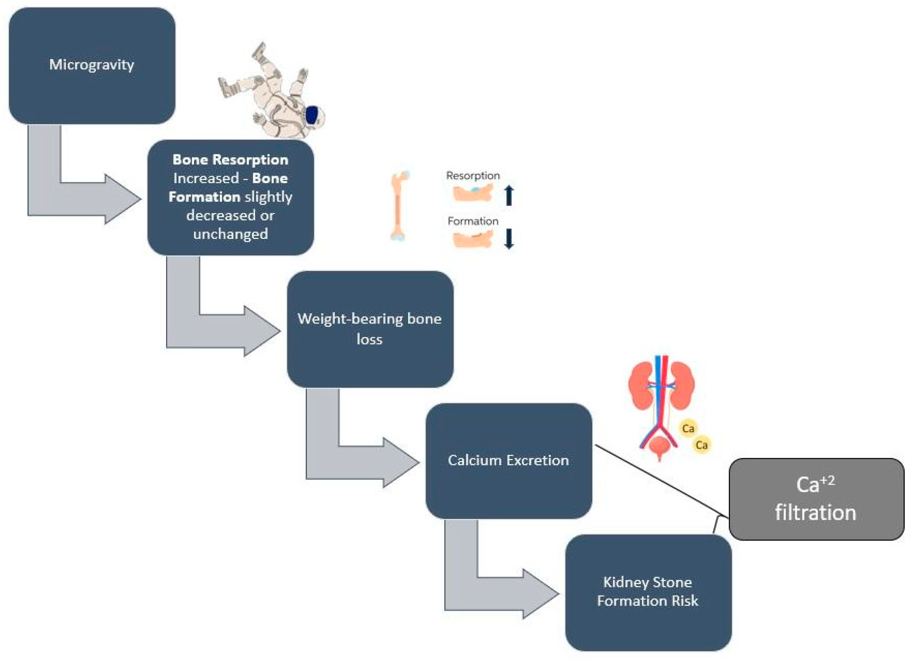 Nutrients 14 04896 g002