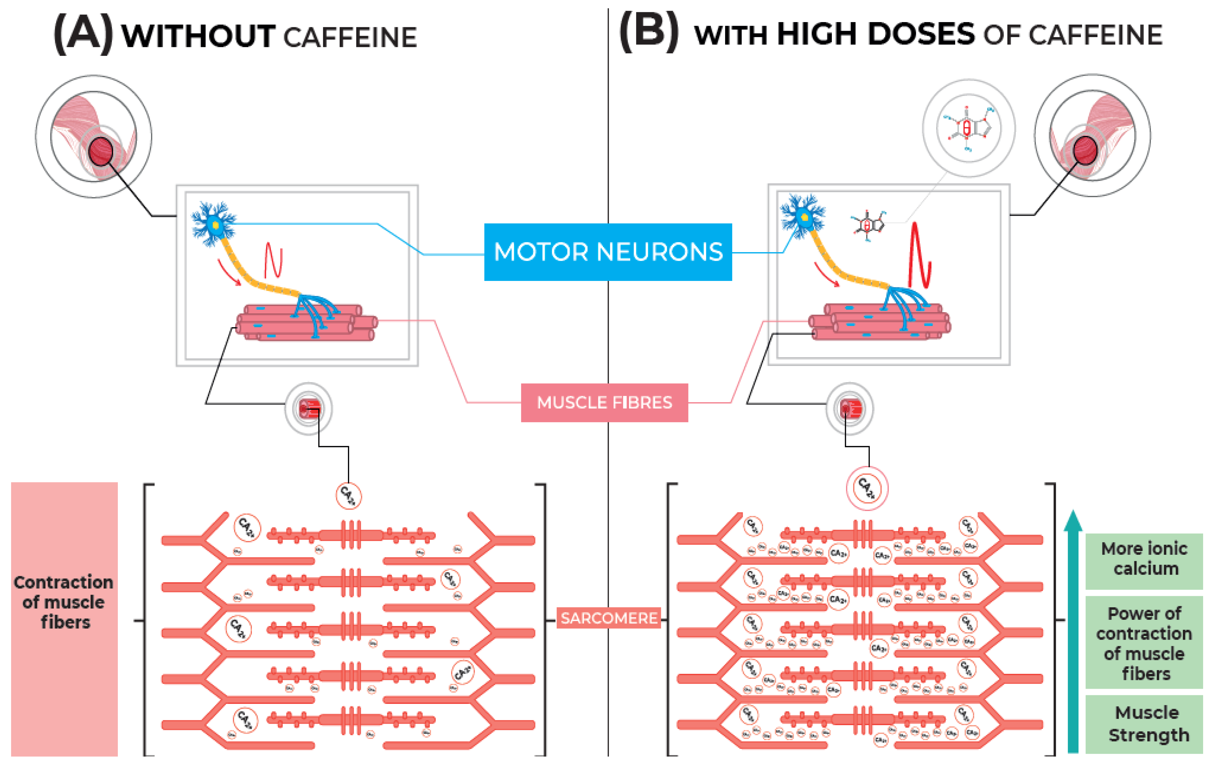 Nutrients 14 04921 g005