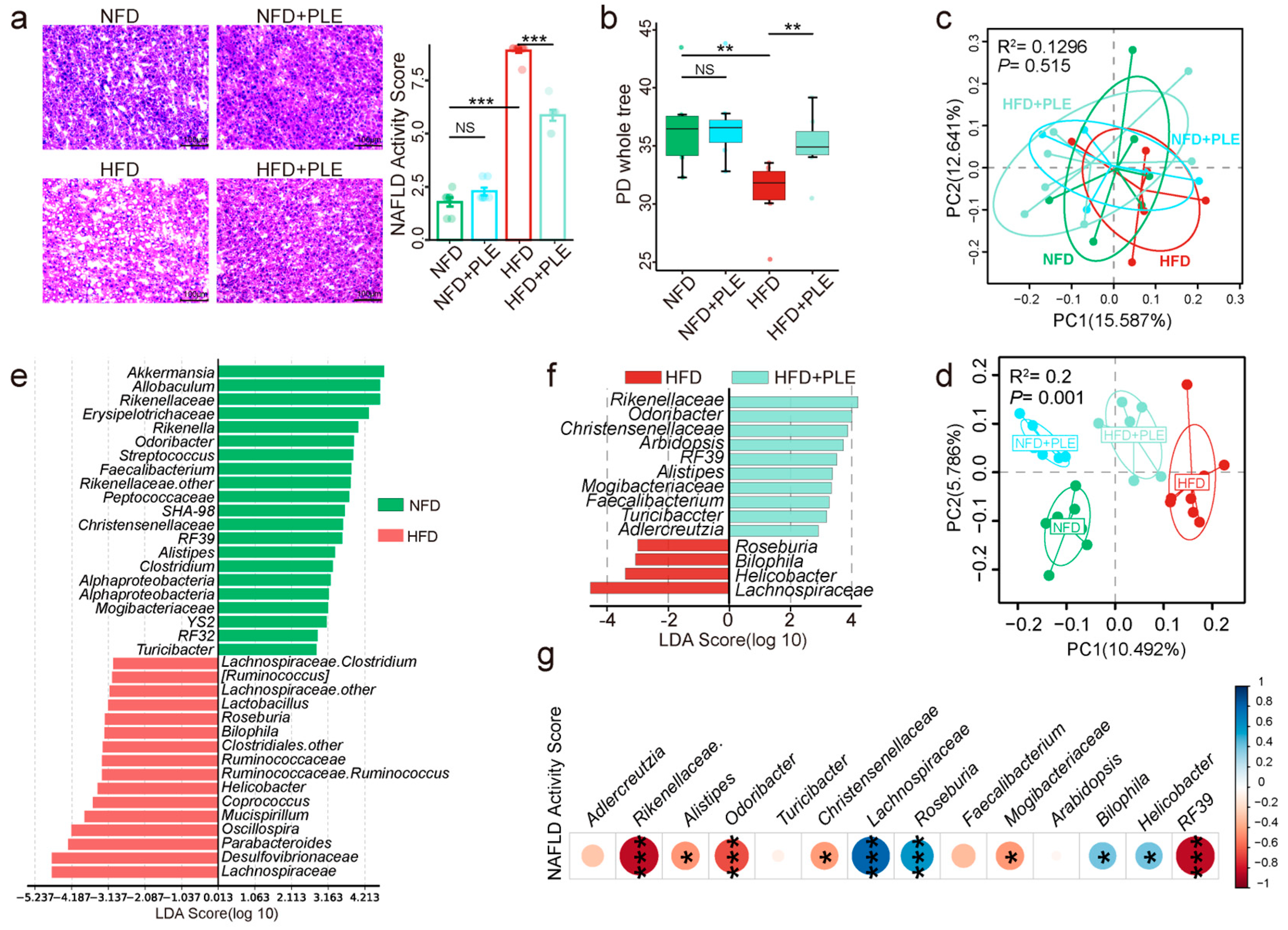 Nutrients 14 04930 g001