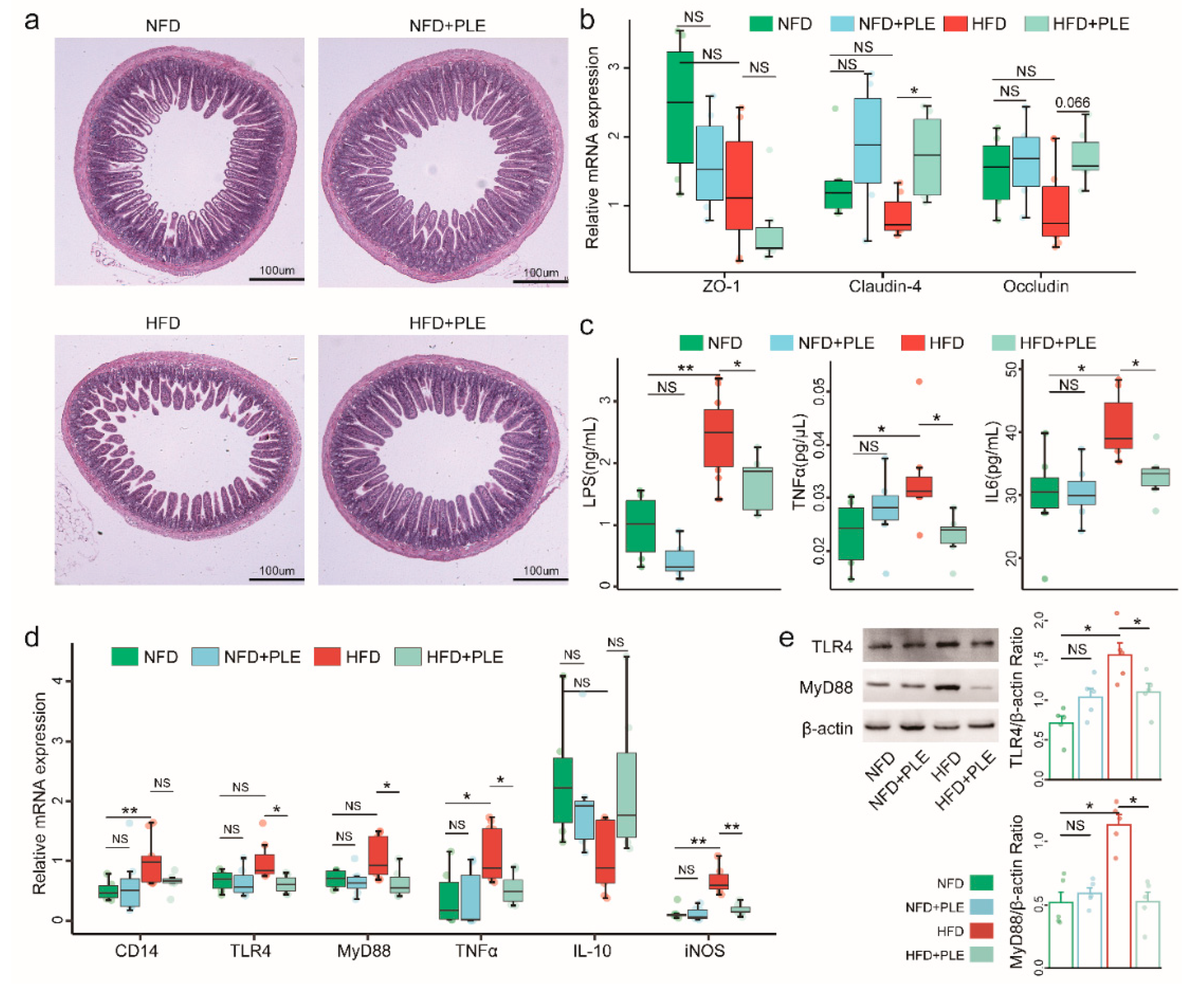 Nutrients 14 04930 g003