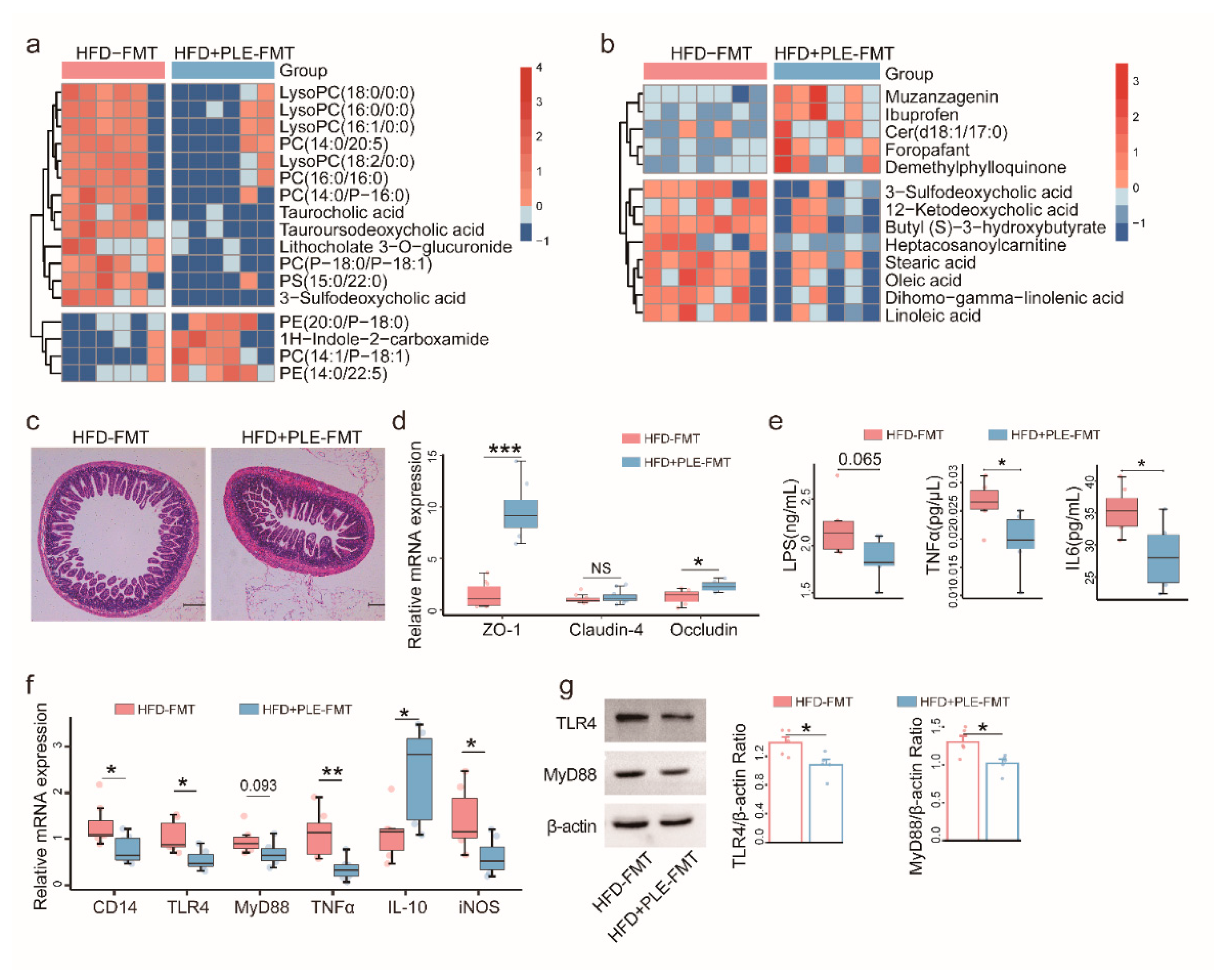 Nutrients 14 04930 g005