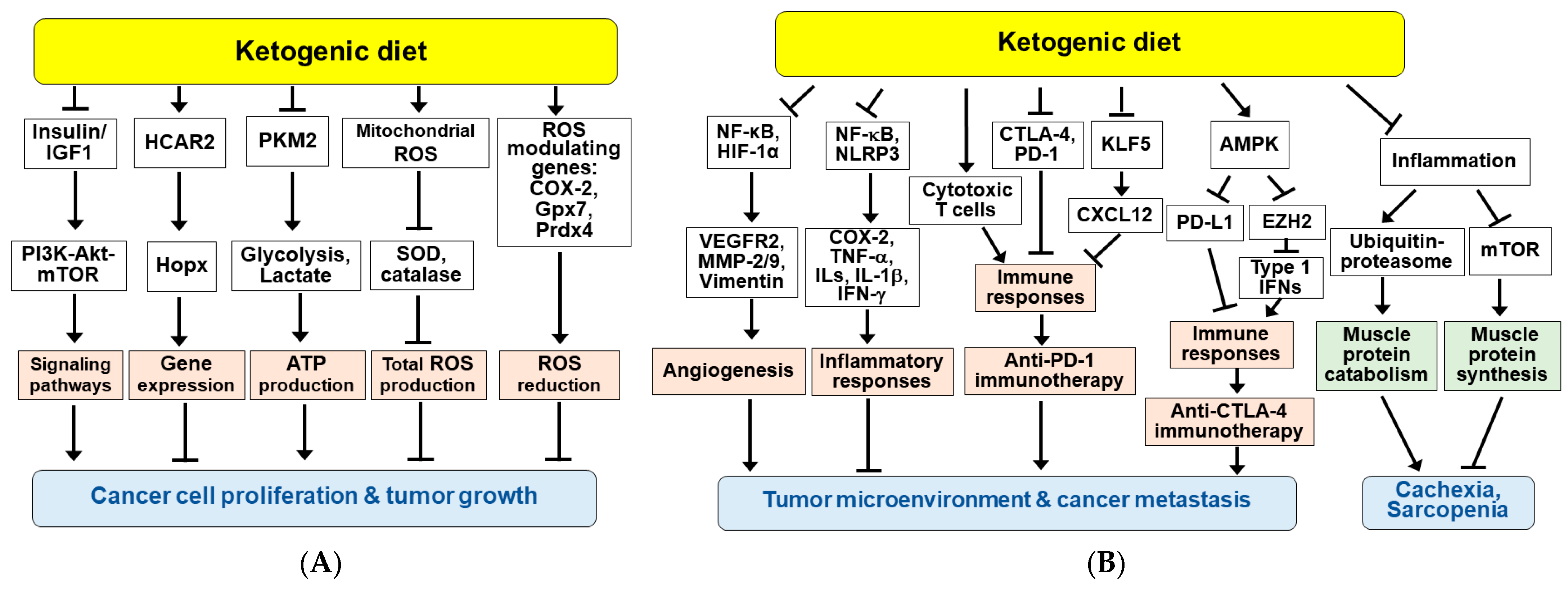 Nutrients 14 04932 g005