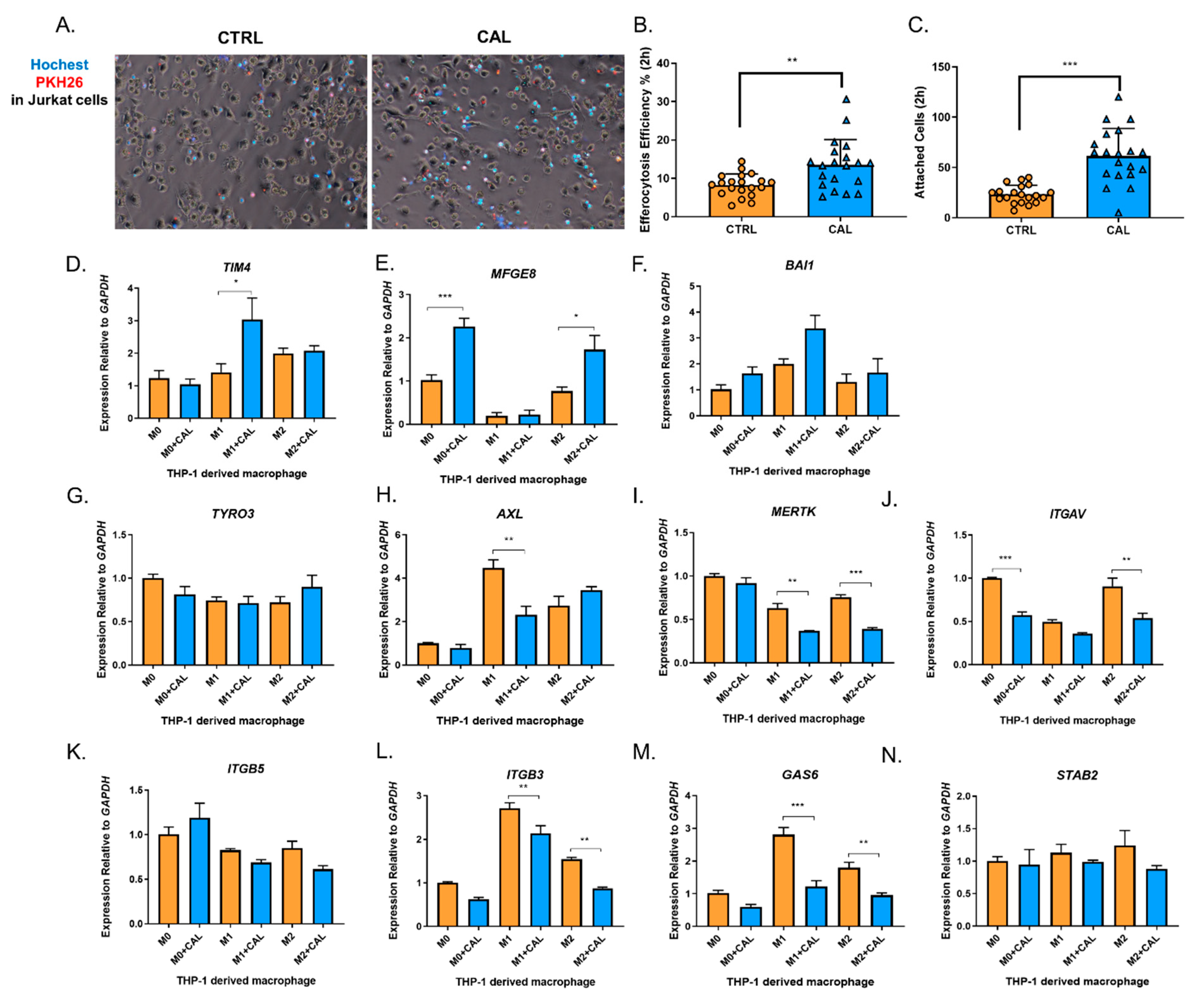 Nutrients 14 04935 g003