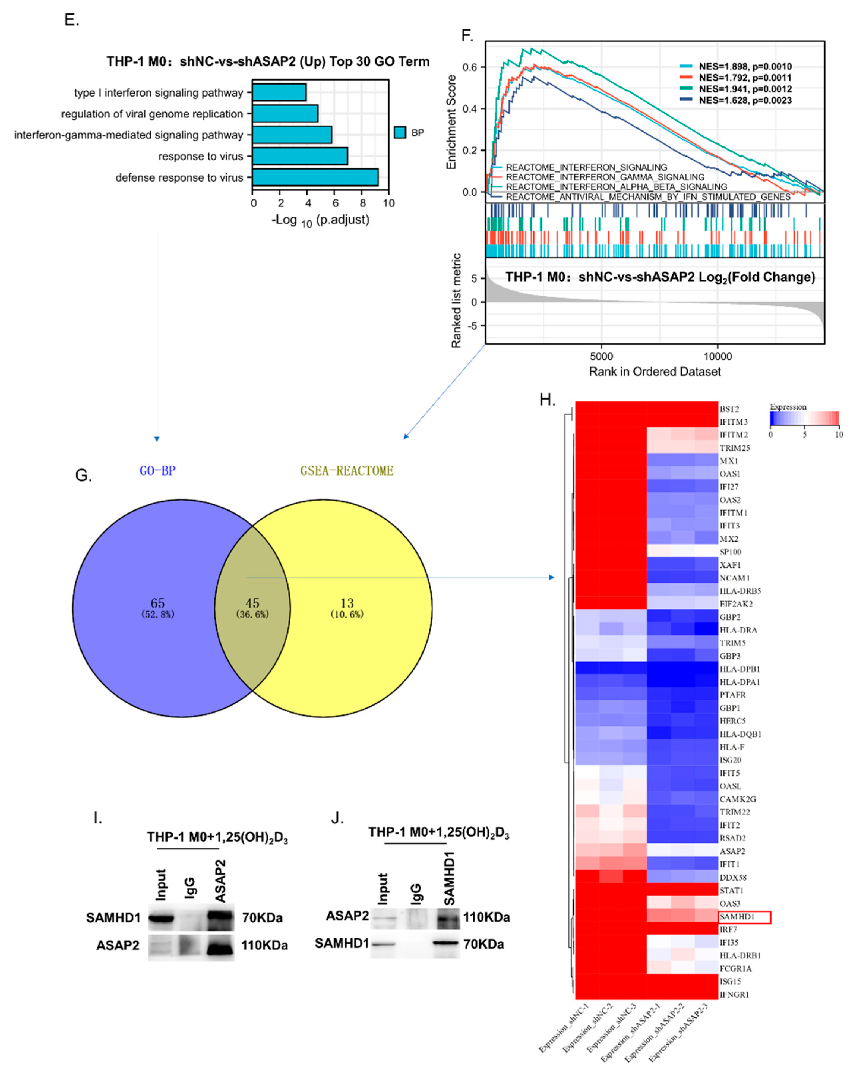 Nutrients 14 04935 g006b