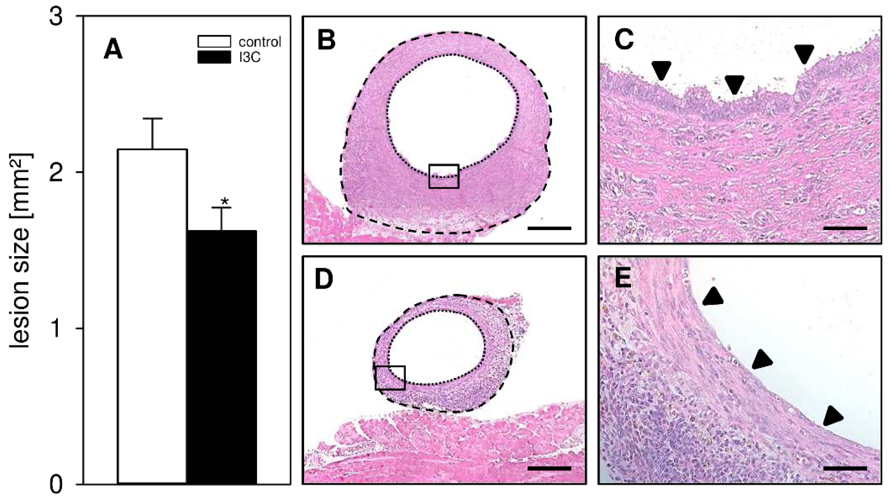 Nutrients 14 04940 g003