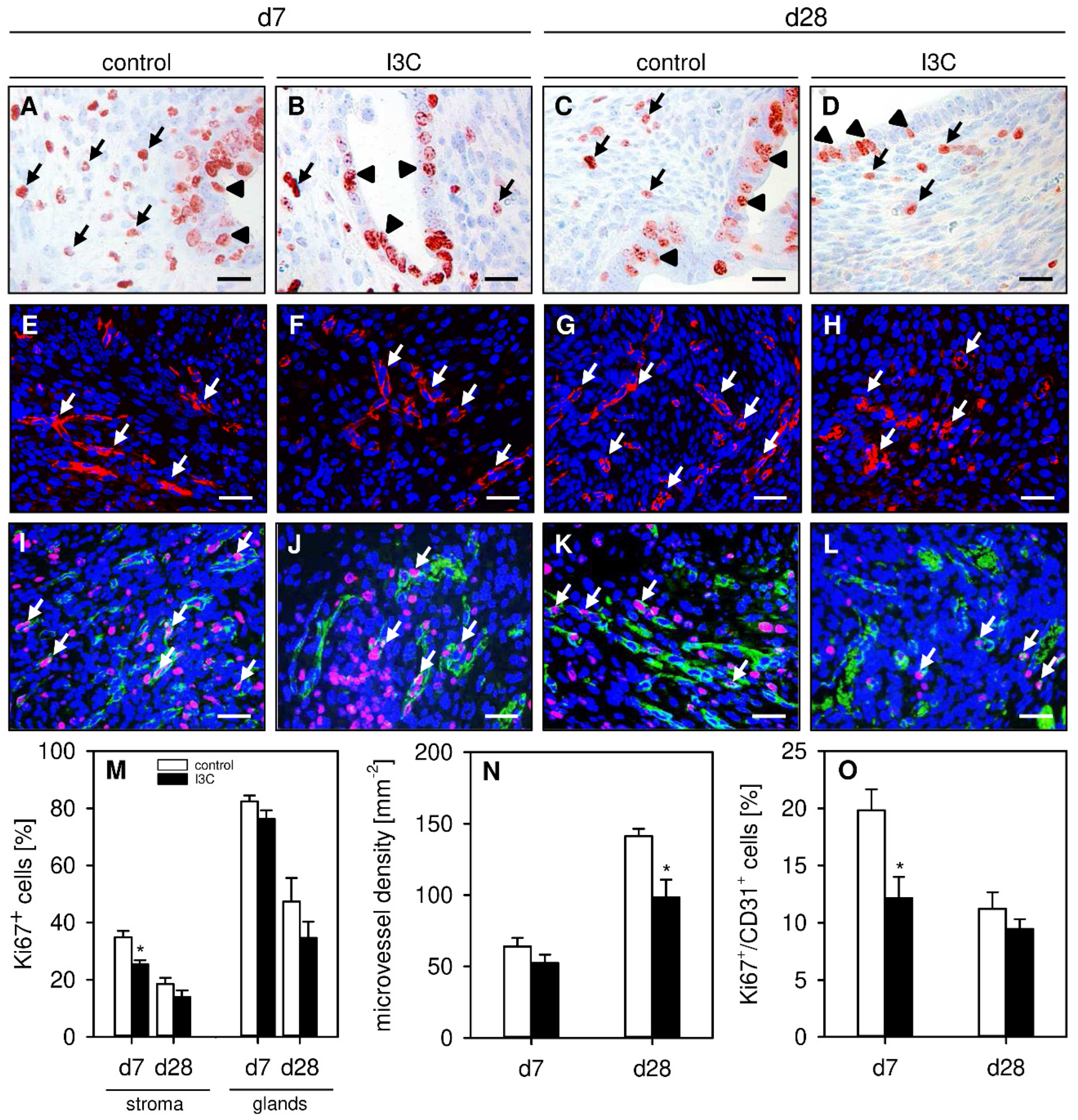 Nutrients 14 04940 g004