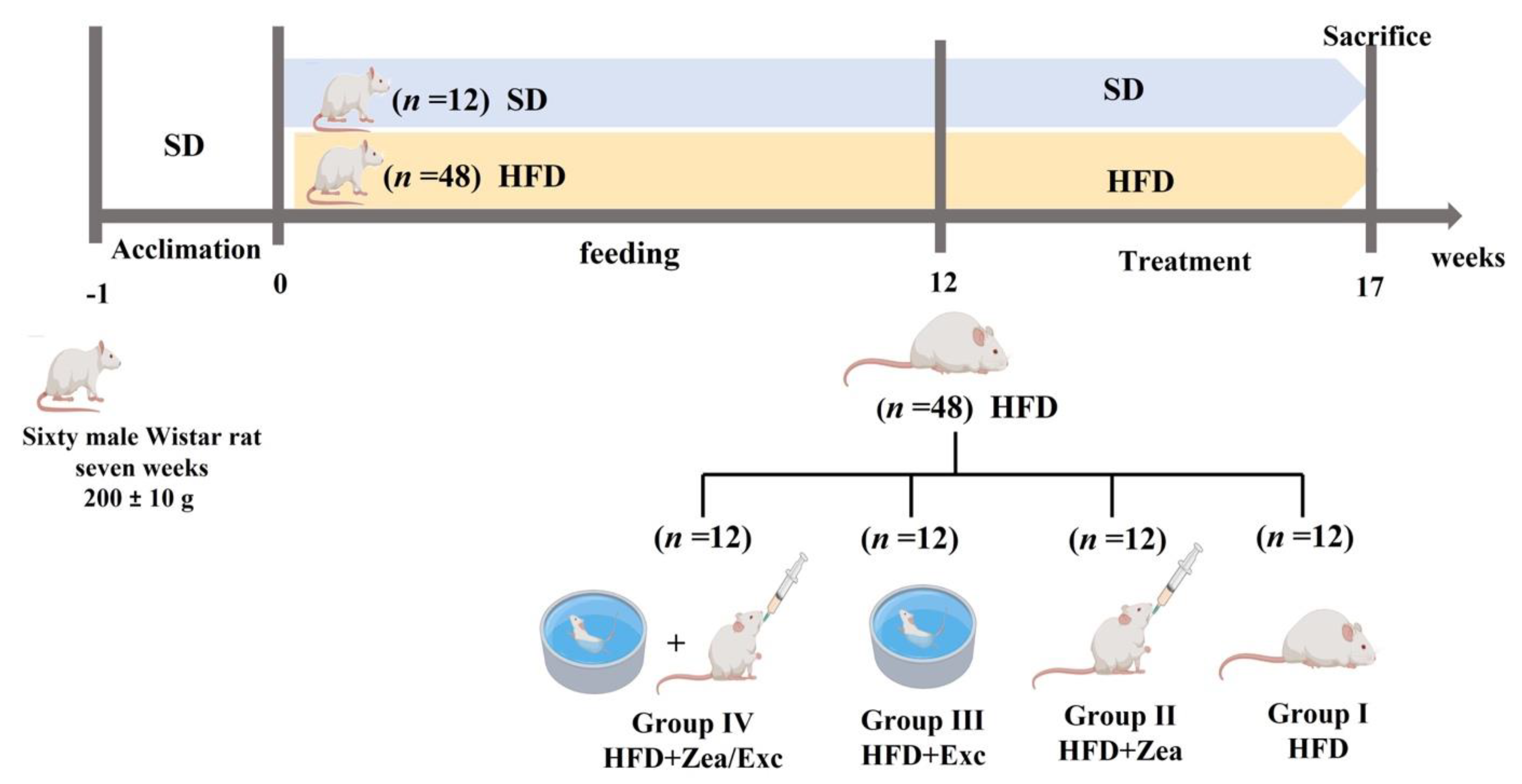 Nutrients 14 04944 g001