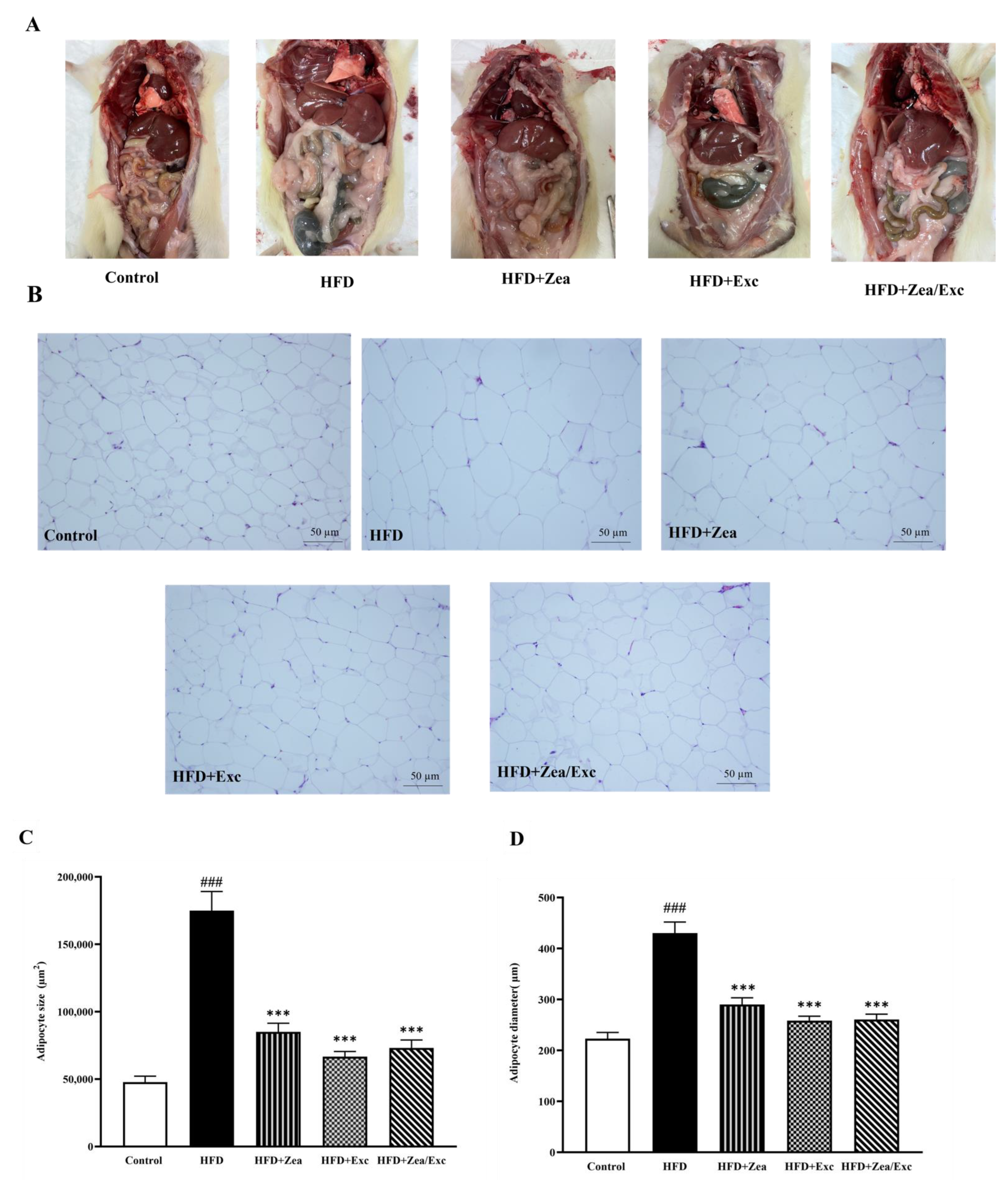 Nutrients 14 04944 g007
