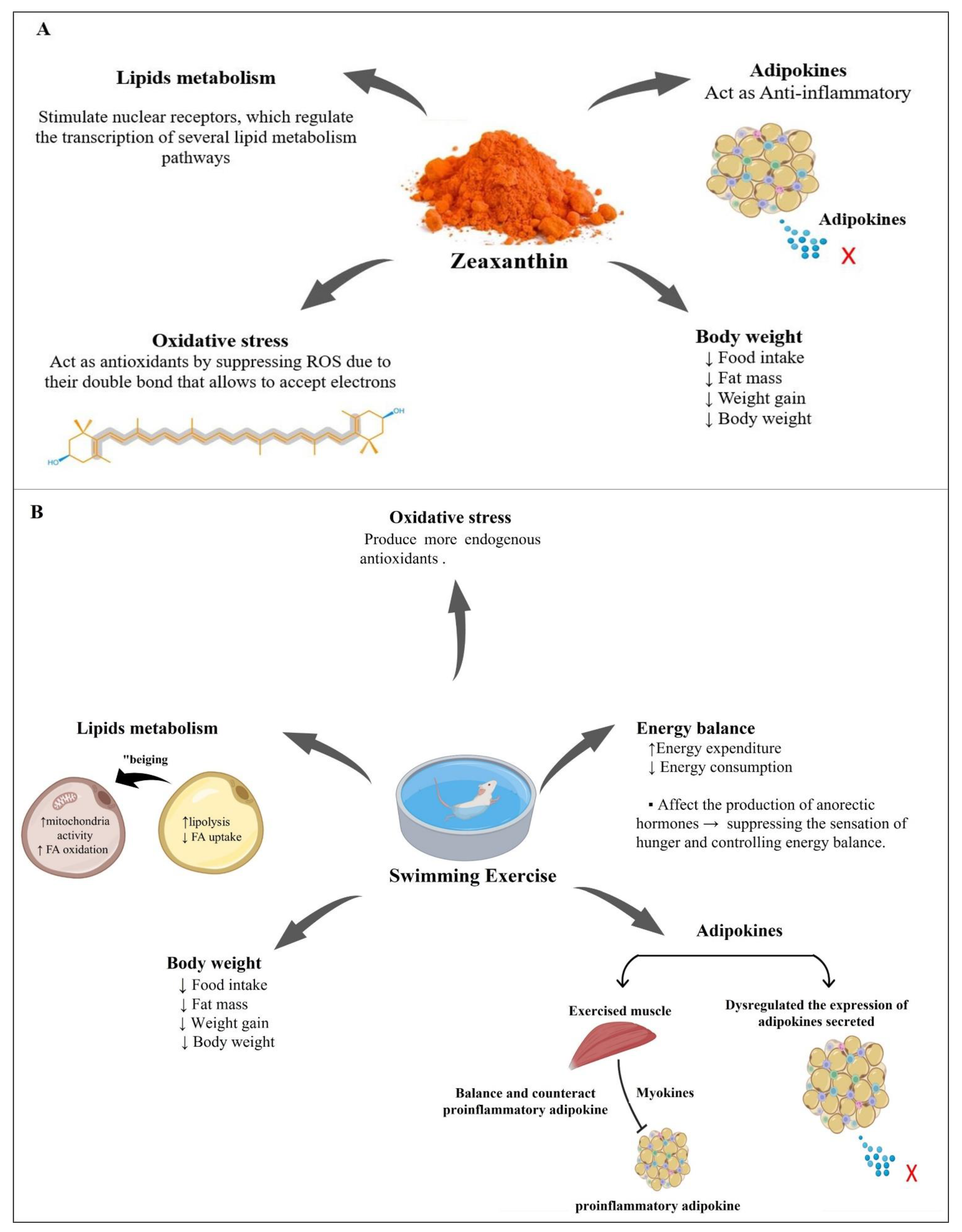 Nutrients 14 04944 g008