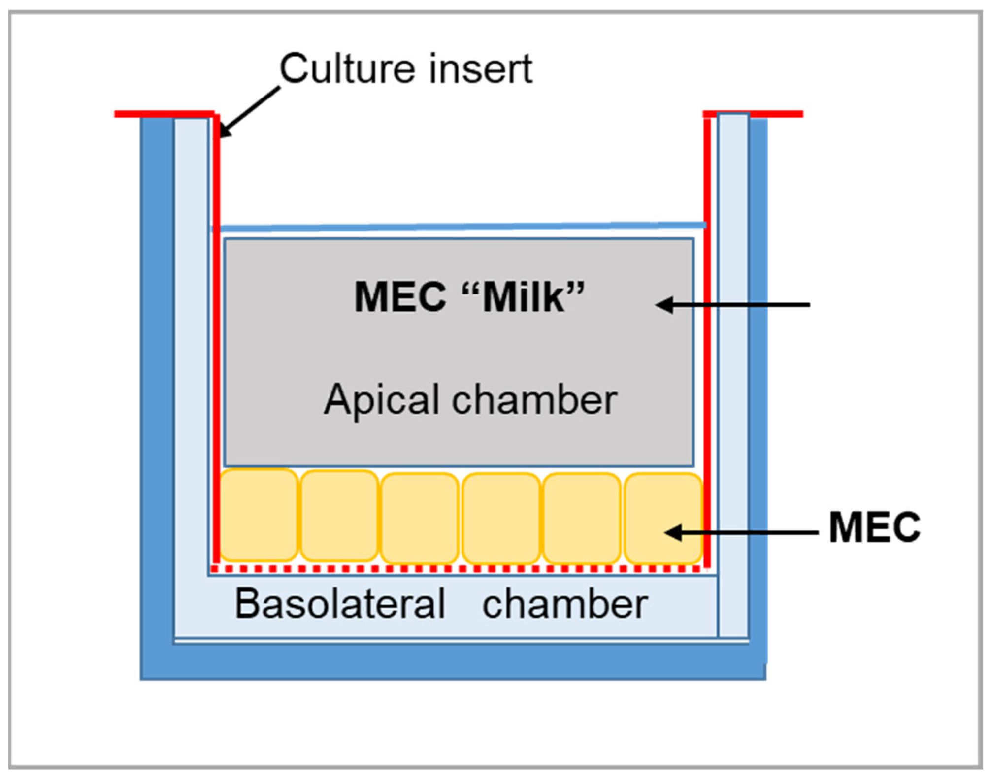 Nutrients 14 04948 g001