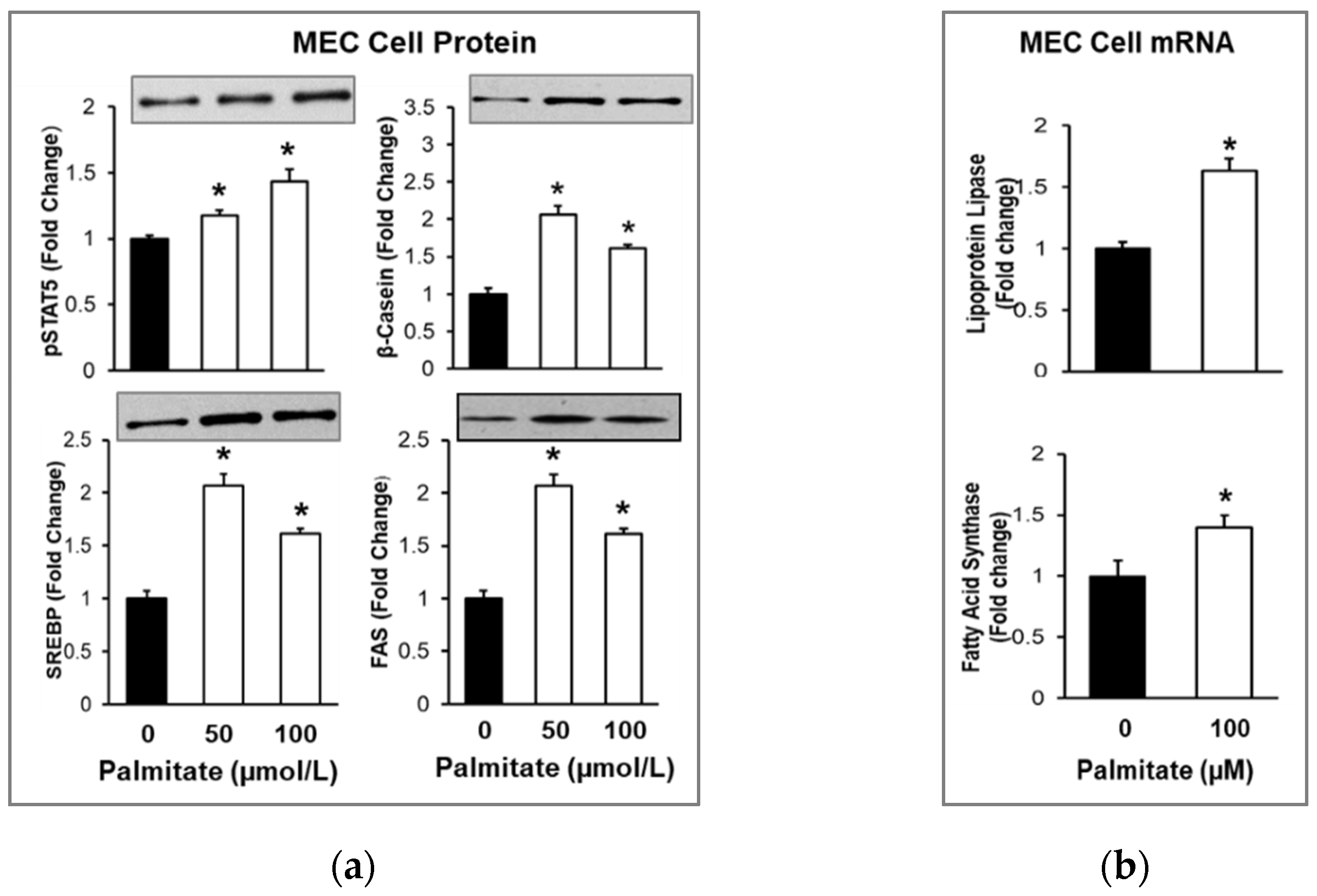 Nutrients 14 04948 g005