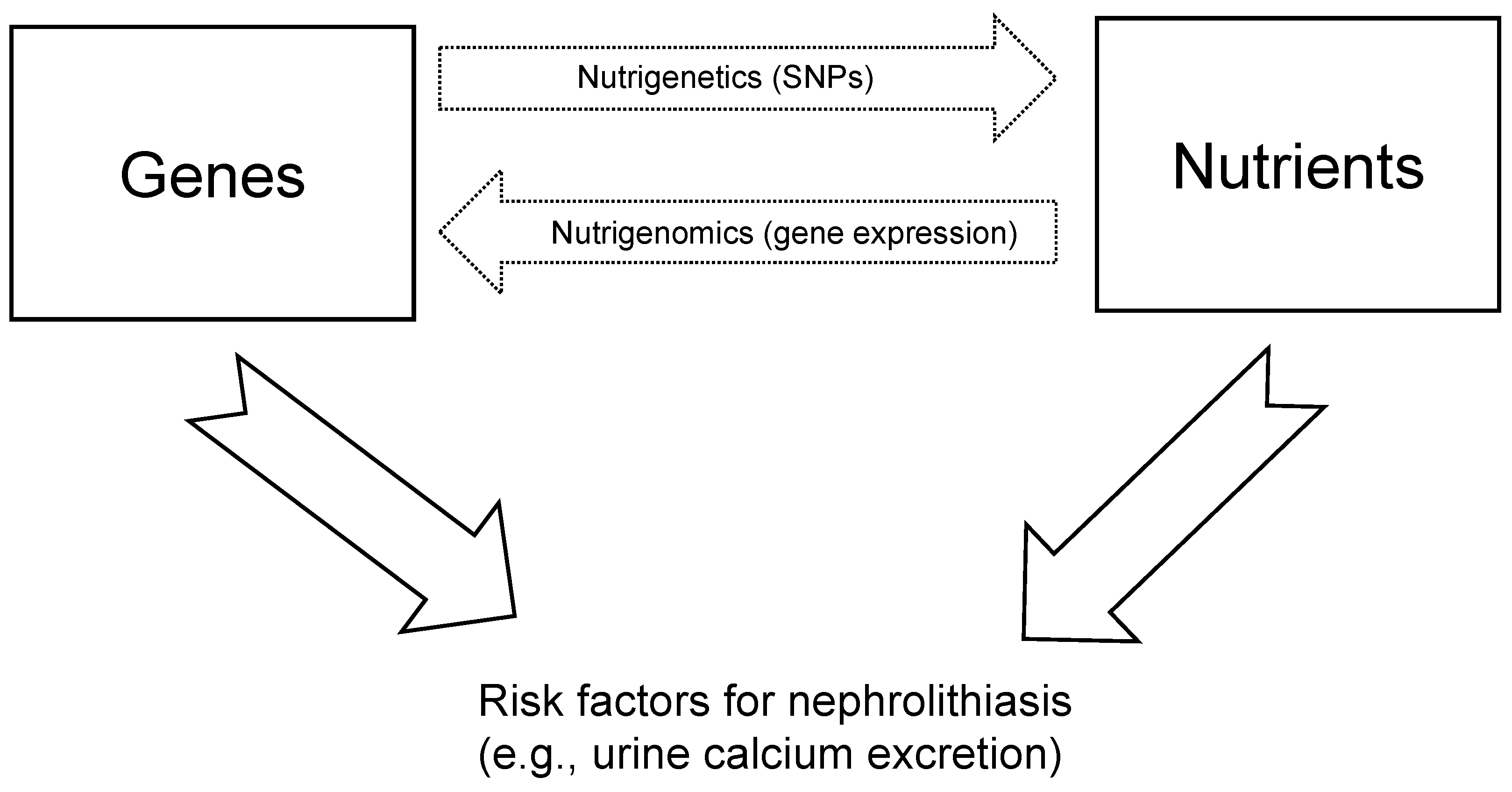 Nutrients 14 04961 g001