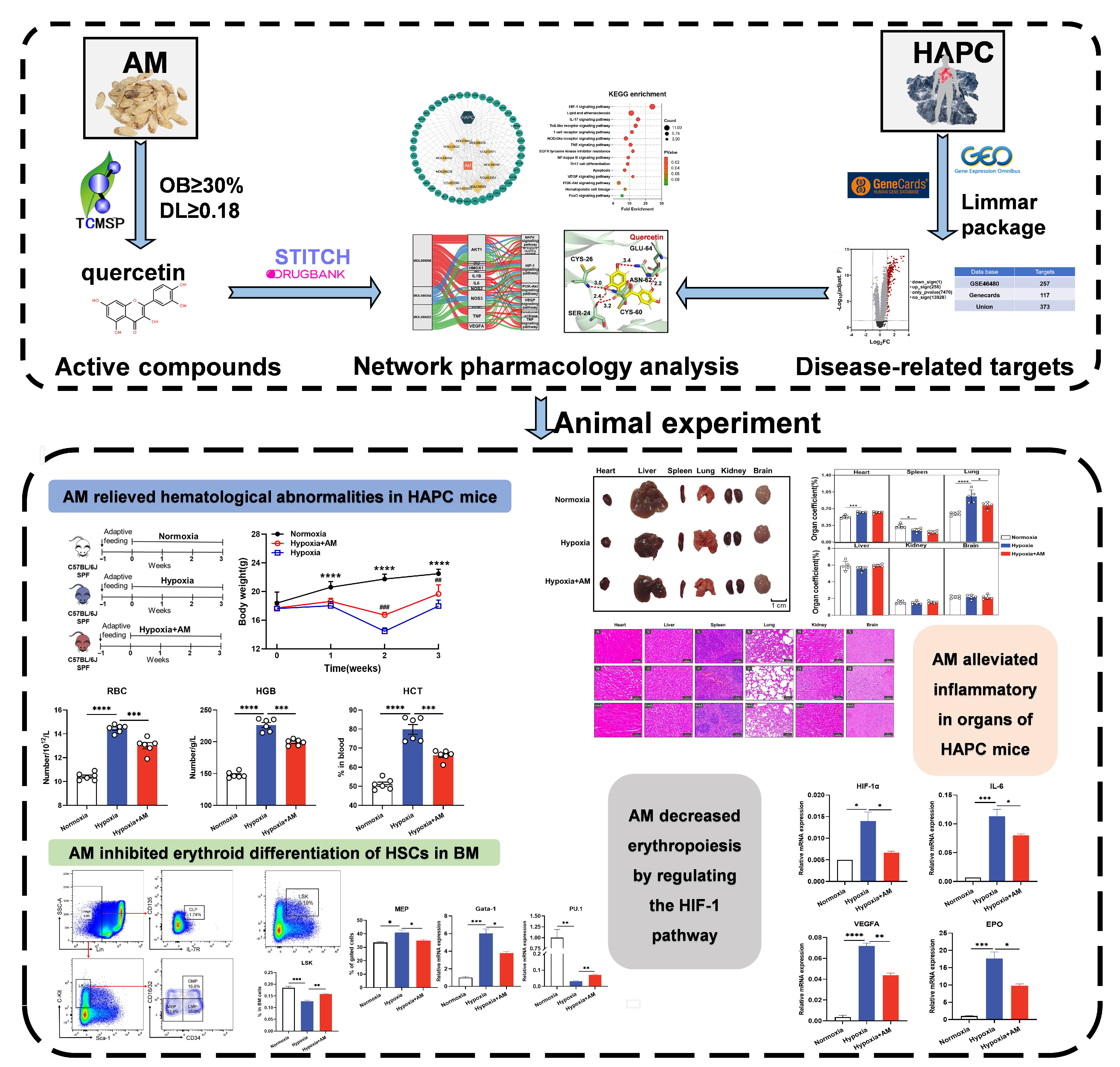 Nutrients 14 04968 g001