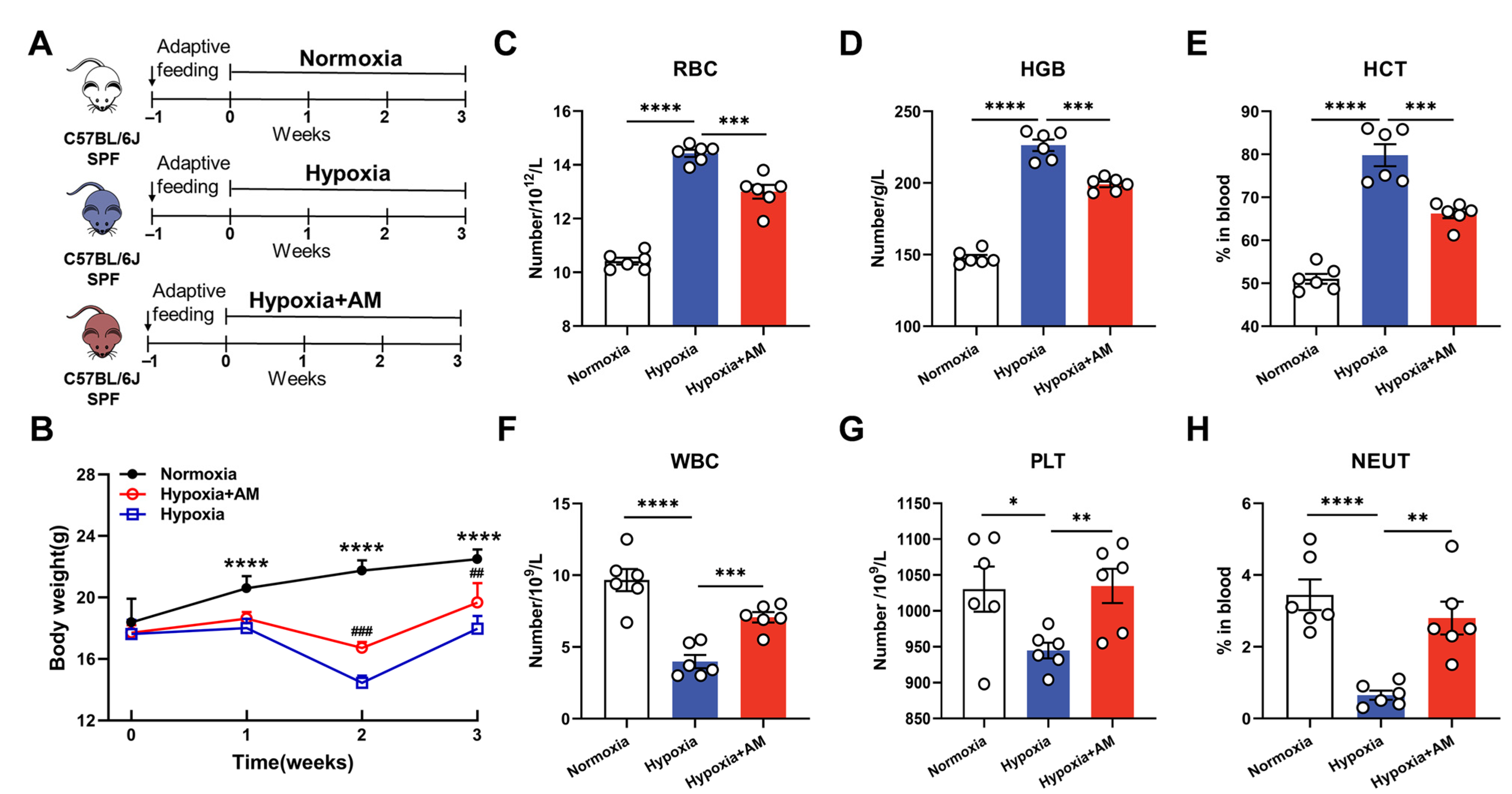Nutrients 14 04968 g008