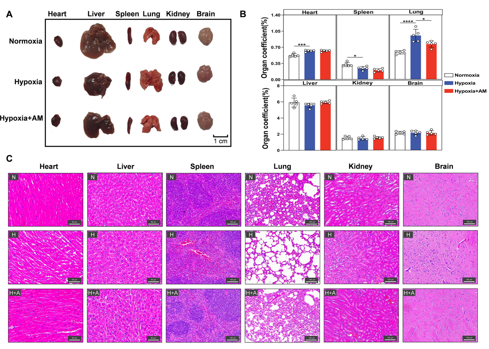 Nutrients 14 04968 g009