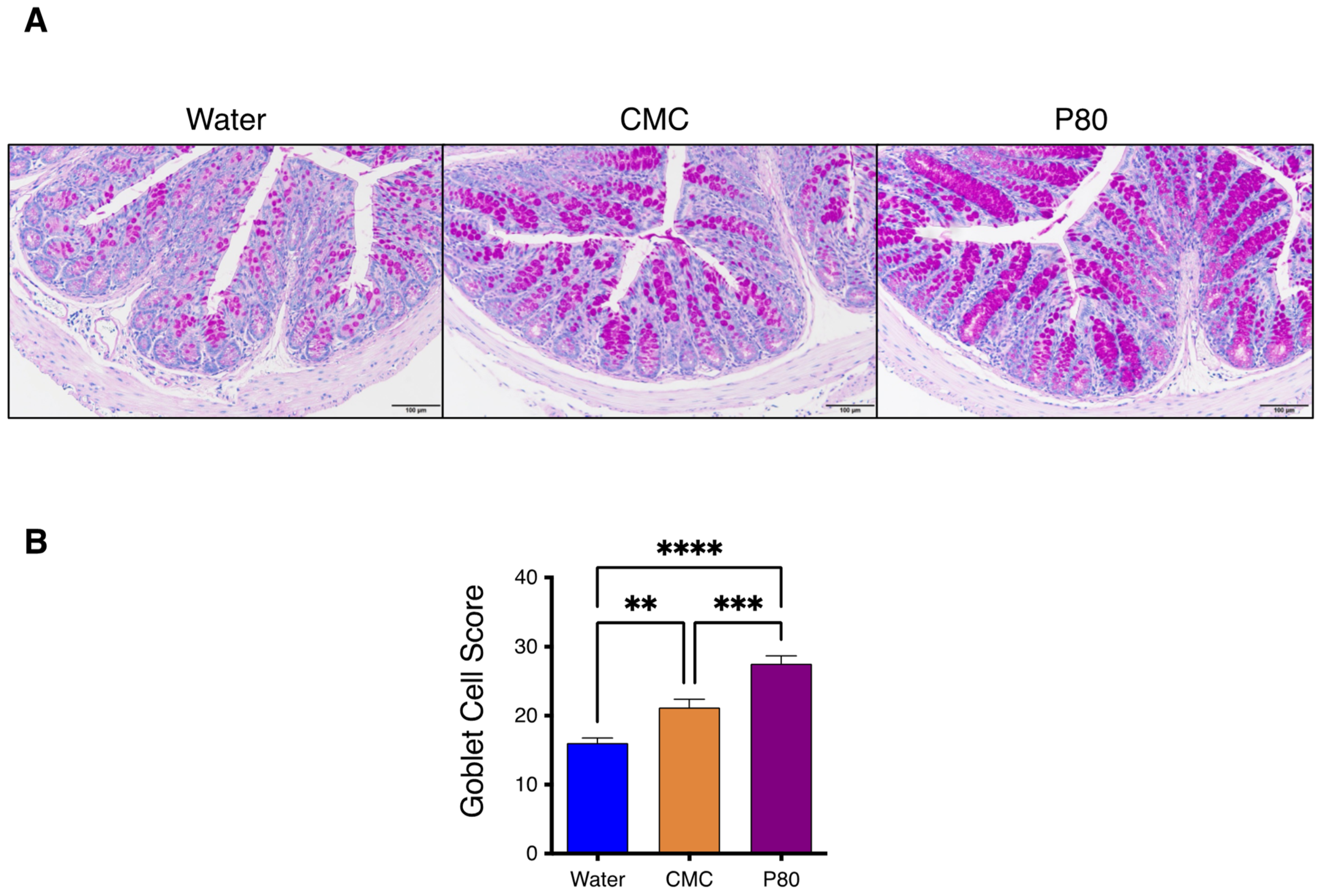 Nutrients 14 04983 g003 Nutrients 14 04983 g003