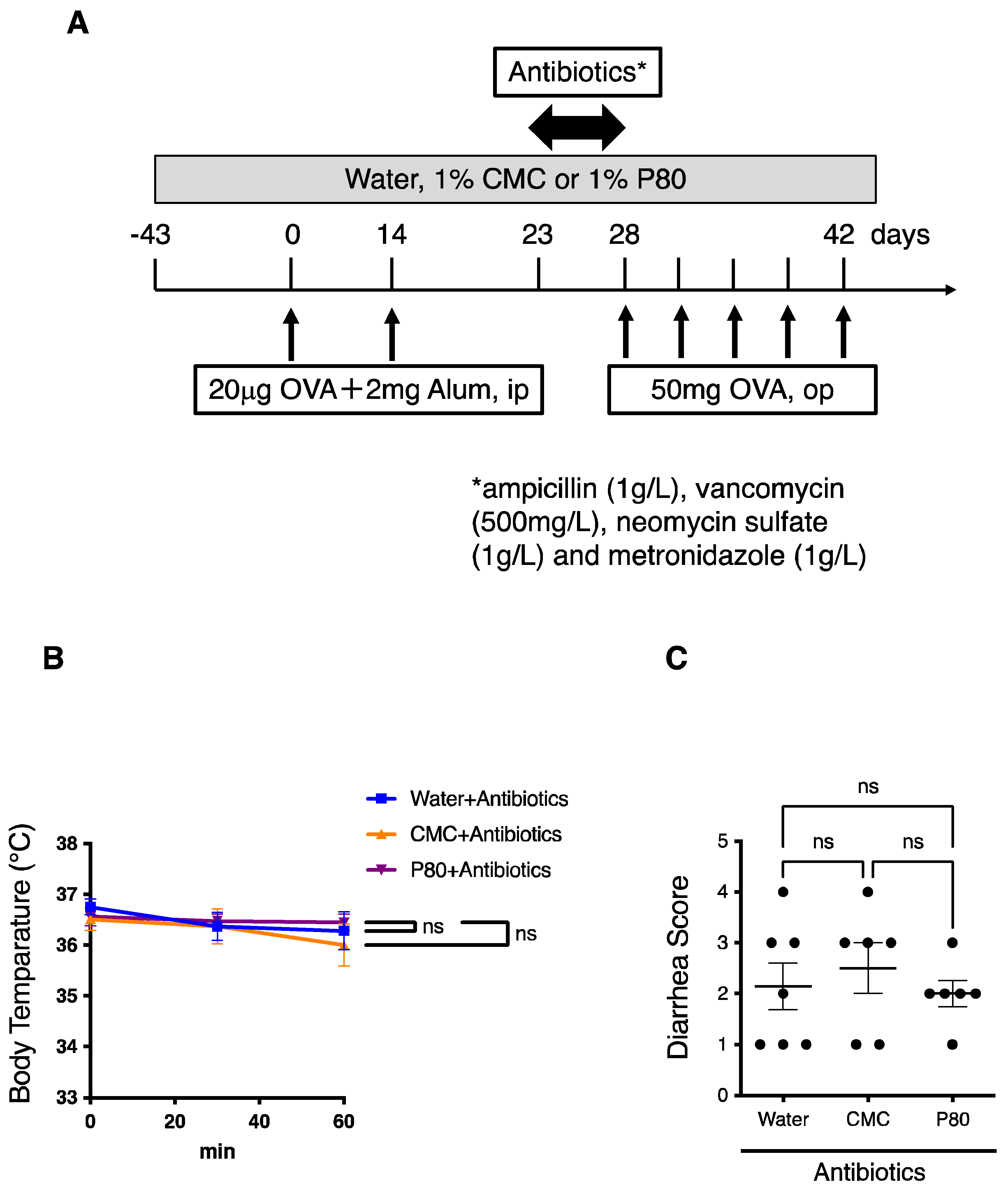 Nutrients 14 04983 g006a Nutrients 14 04983 g006a
