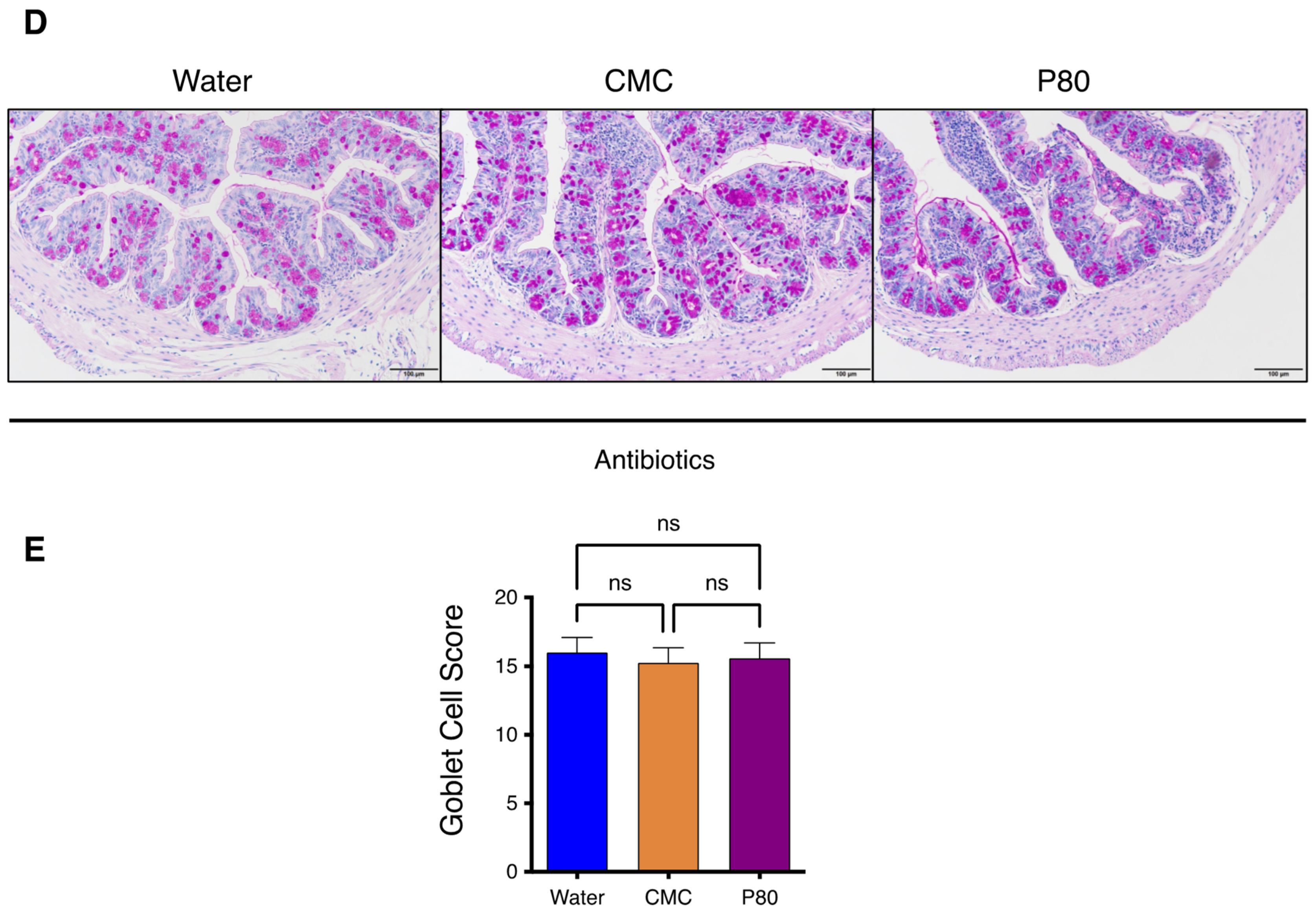 Nutrients 14 04983 g006b Nutrients 14 04983 g006b