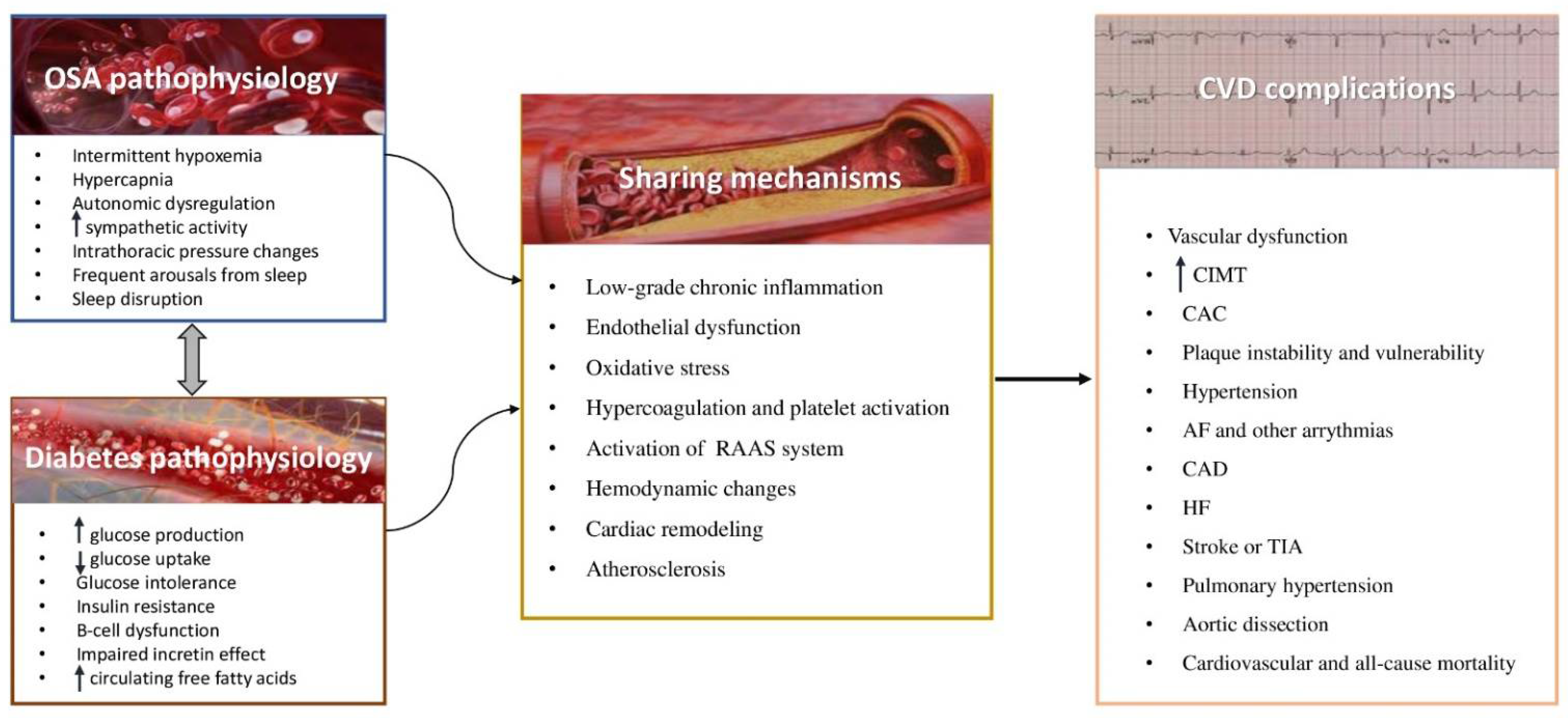Nutrients 14 04989 g001
