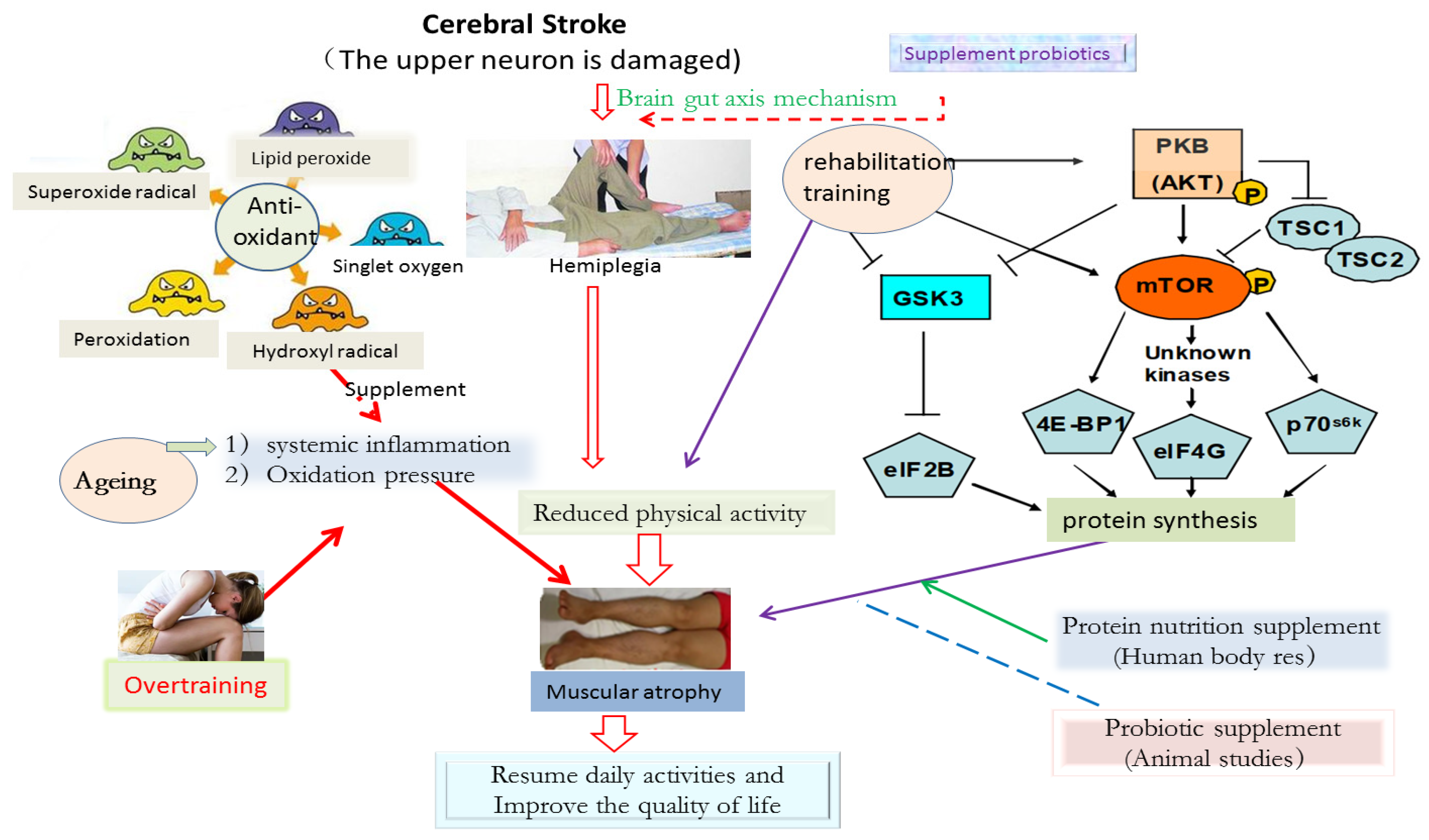 Nutrients 14 04995 g002