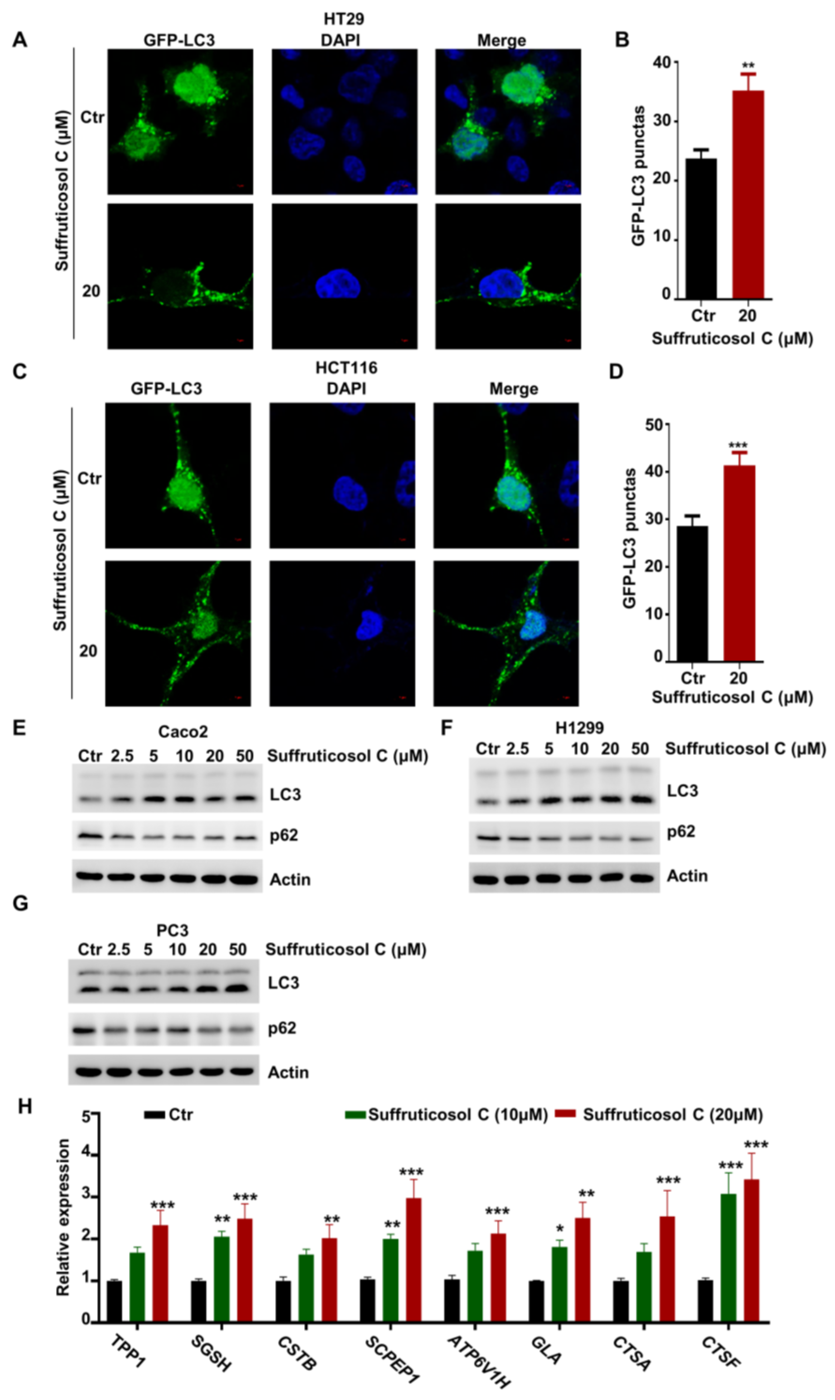Nutrients 14 05000 g004