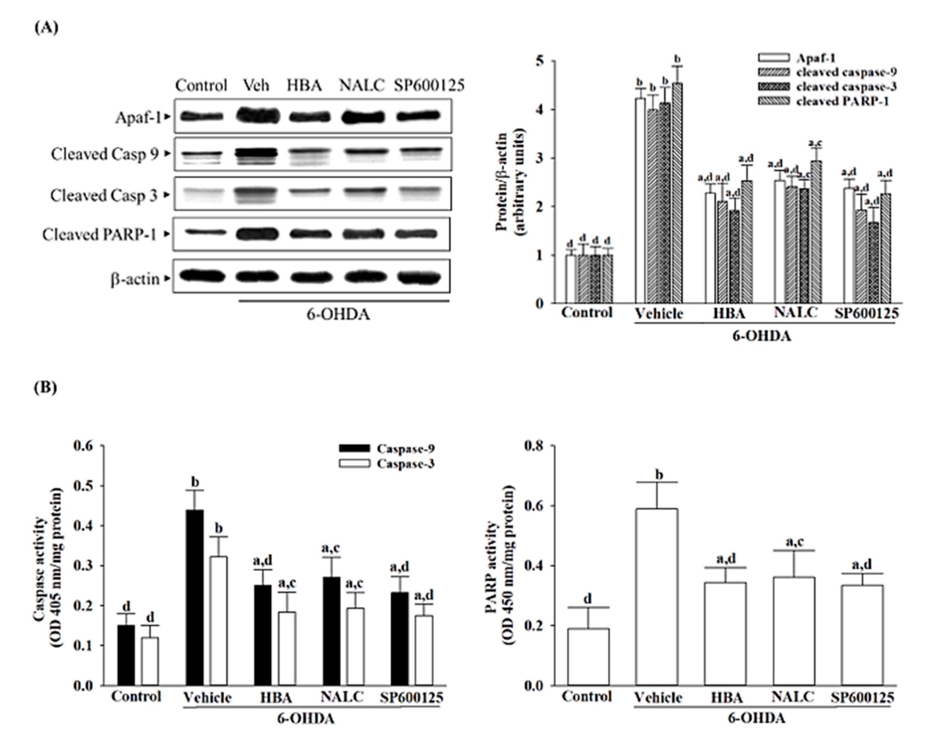 Nutrients 14 05002 g004