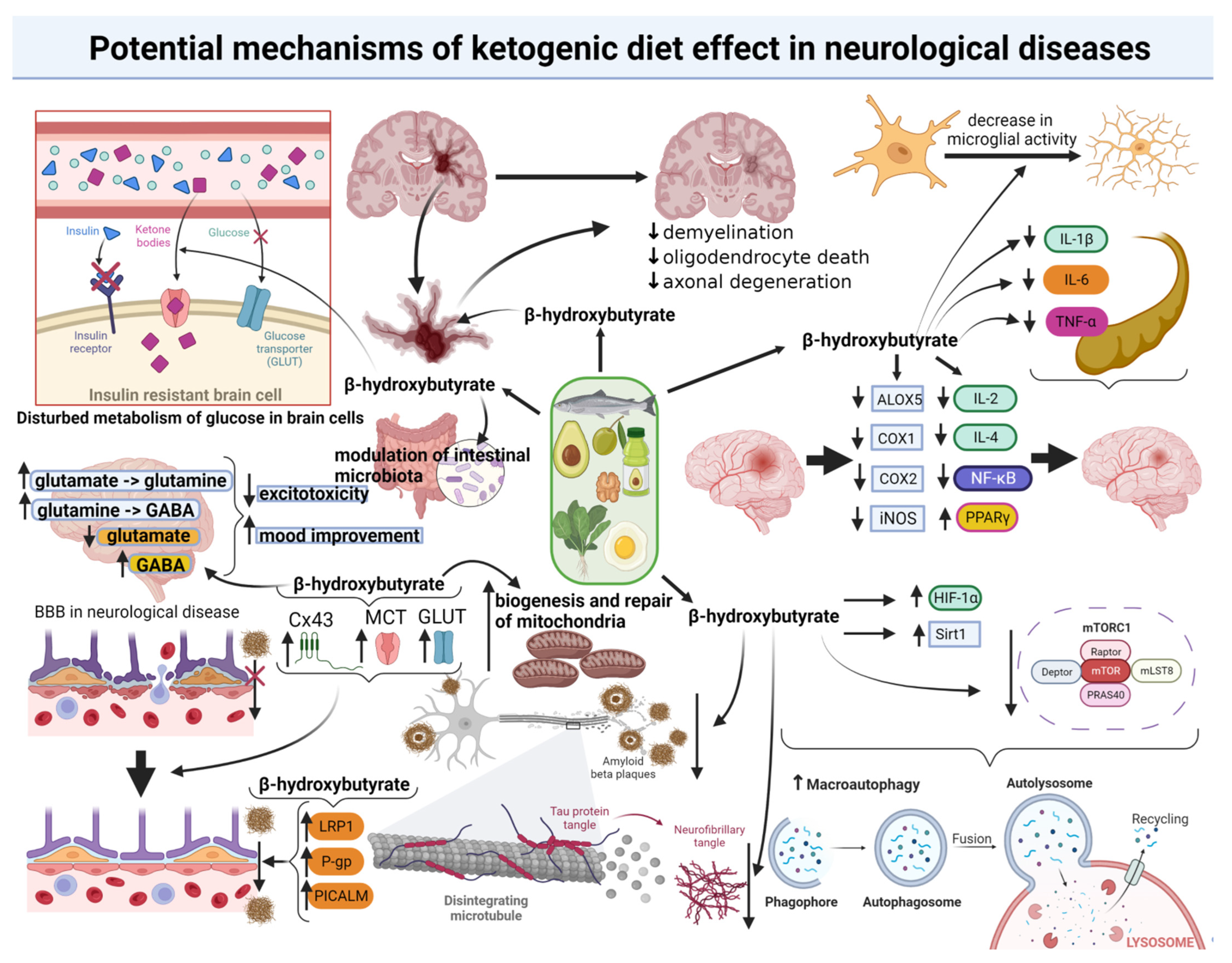 Nutrients 14 05003 g002