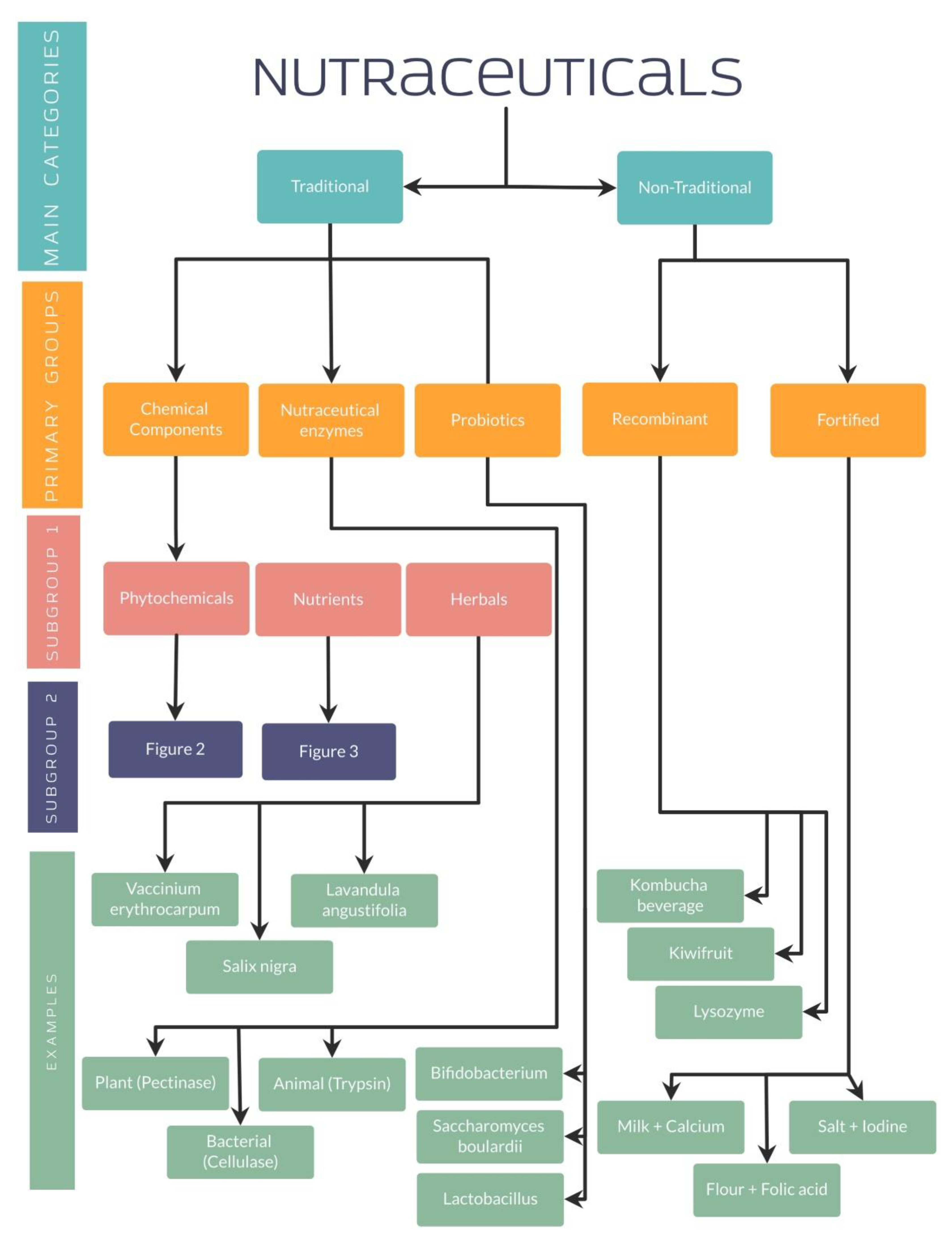 Nutrients 14 05014 g001