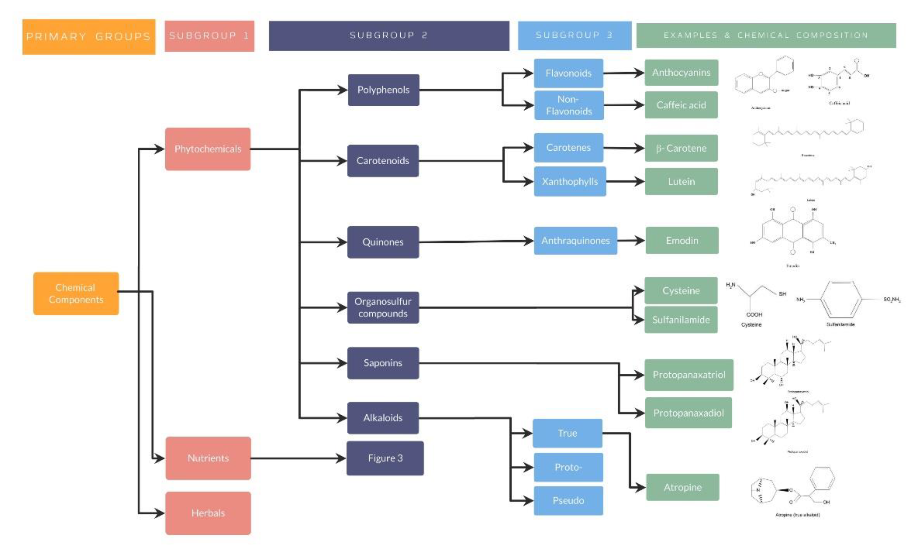 Nutrients 14 05014 g002