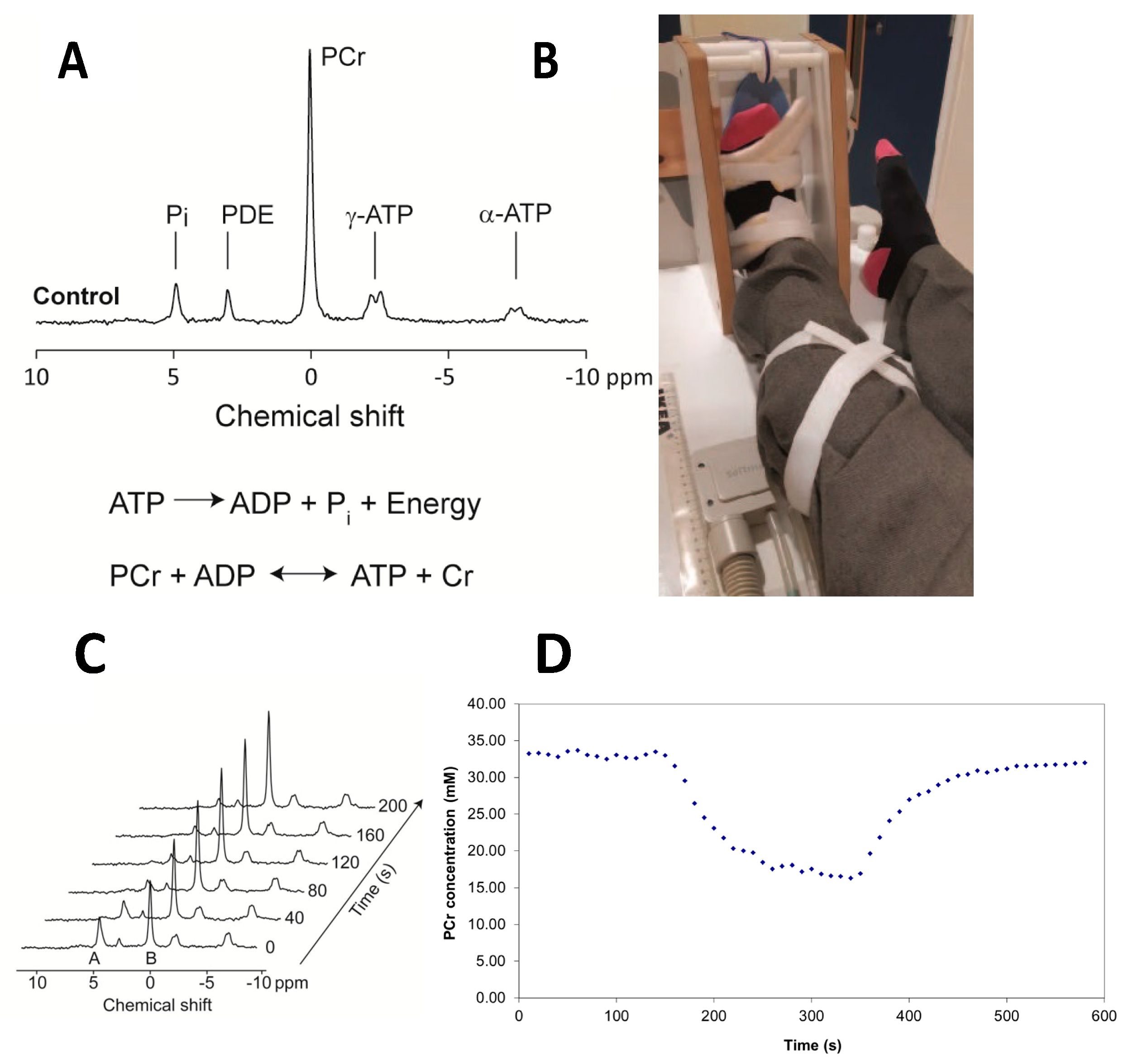 Nutrients 14 05045 g001