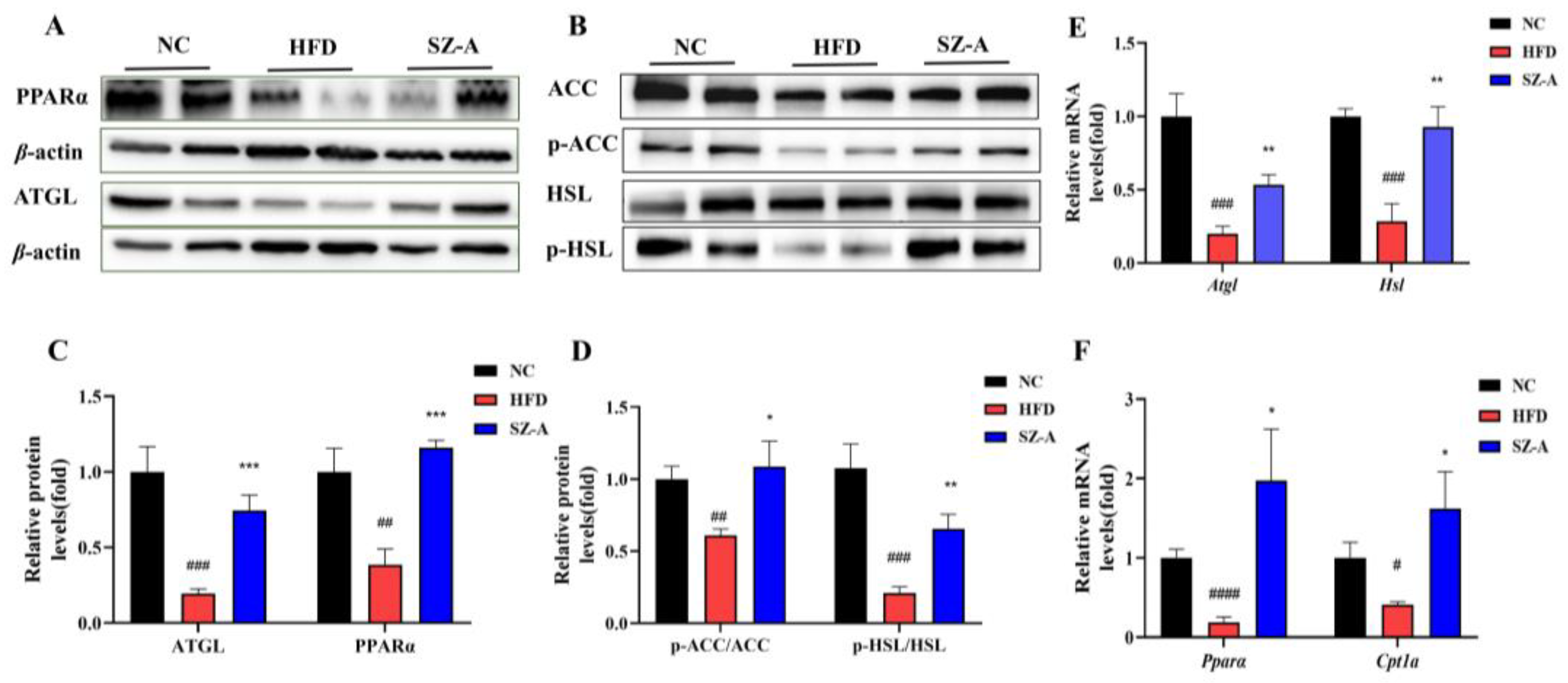 Nutrients 14 05050 g002
